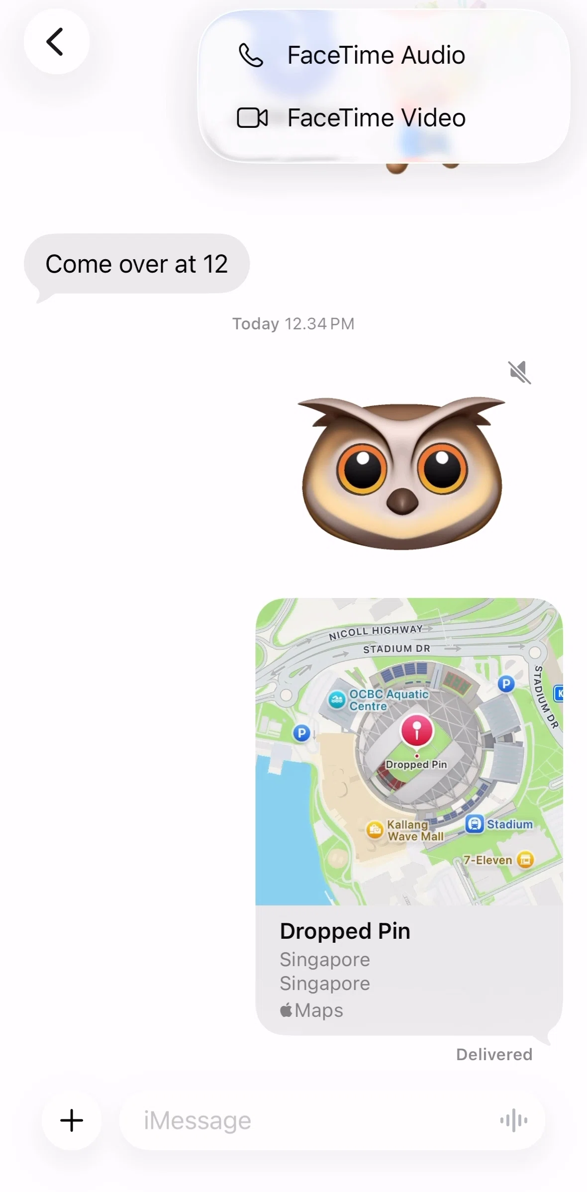Messages Screen screen in the Calling a user (FaceTime video) flow