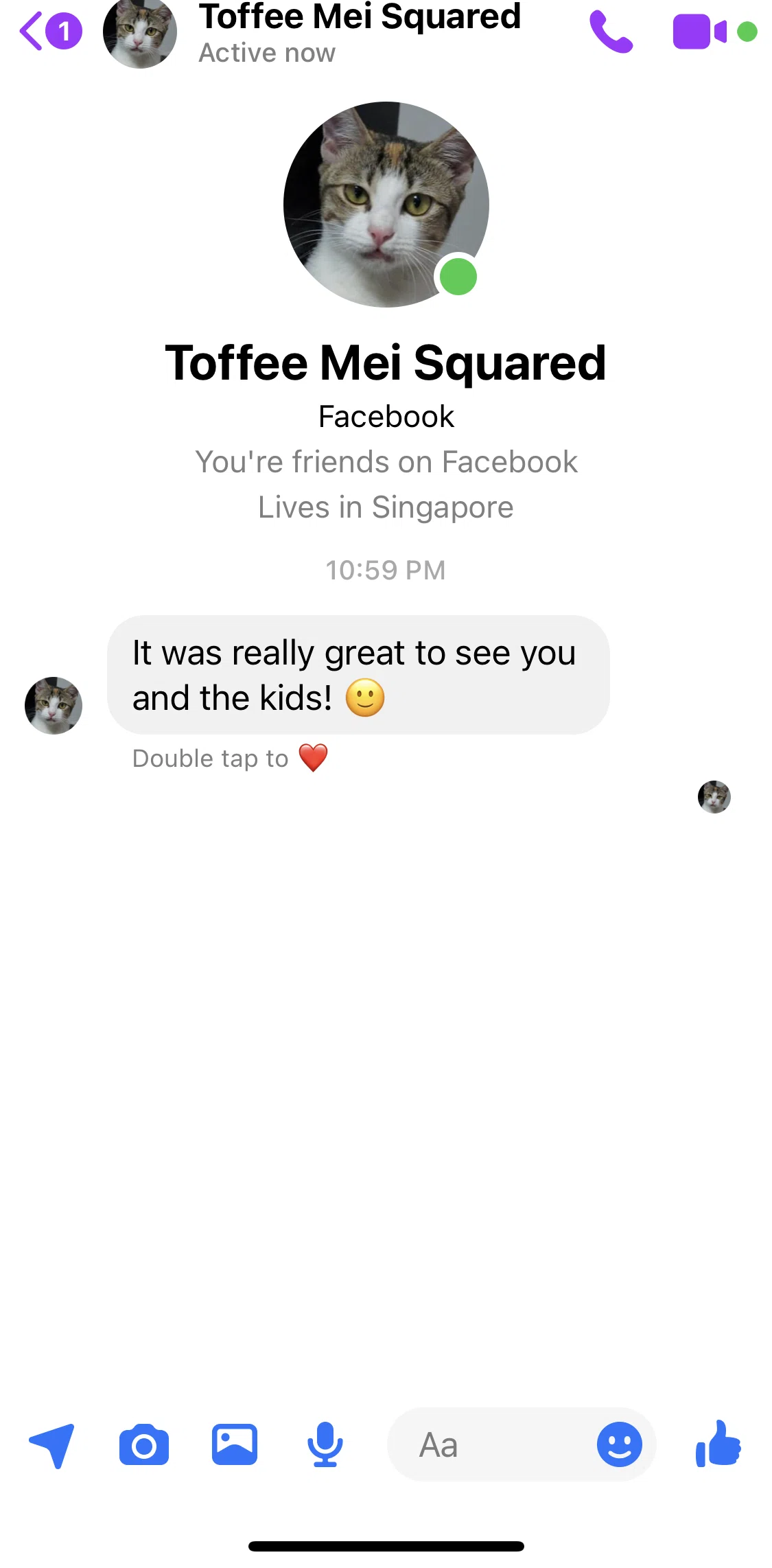 Messenger Screen screen in the Chat detail flow