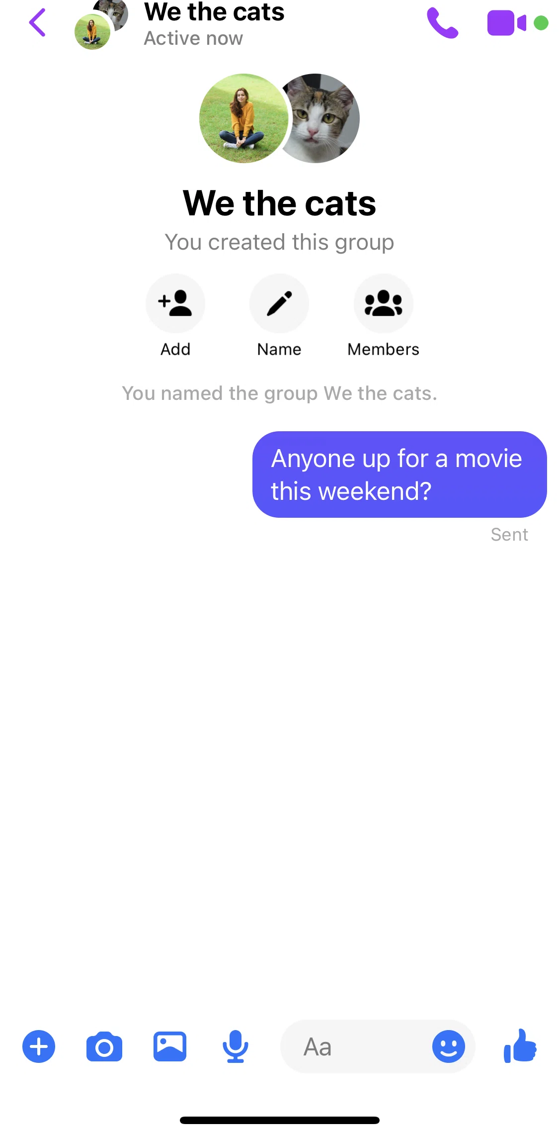 Messenger Screen screen in the Deleting a group conversation flow
