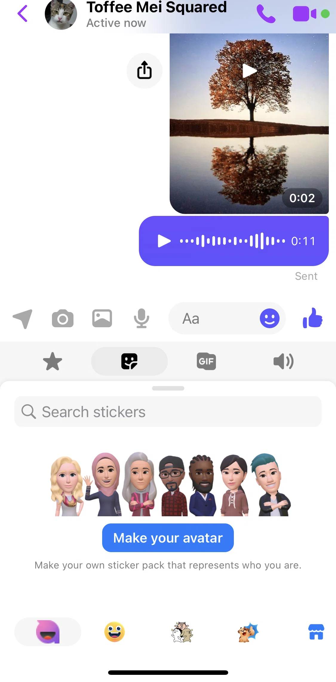 Messenger Screen screen in the Making an avatar flow