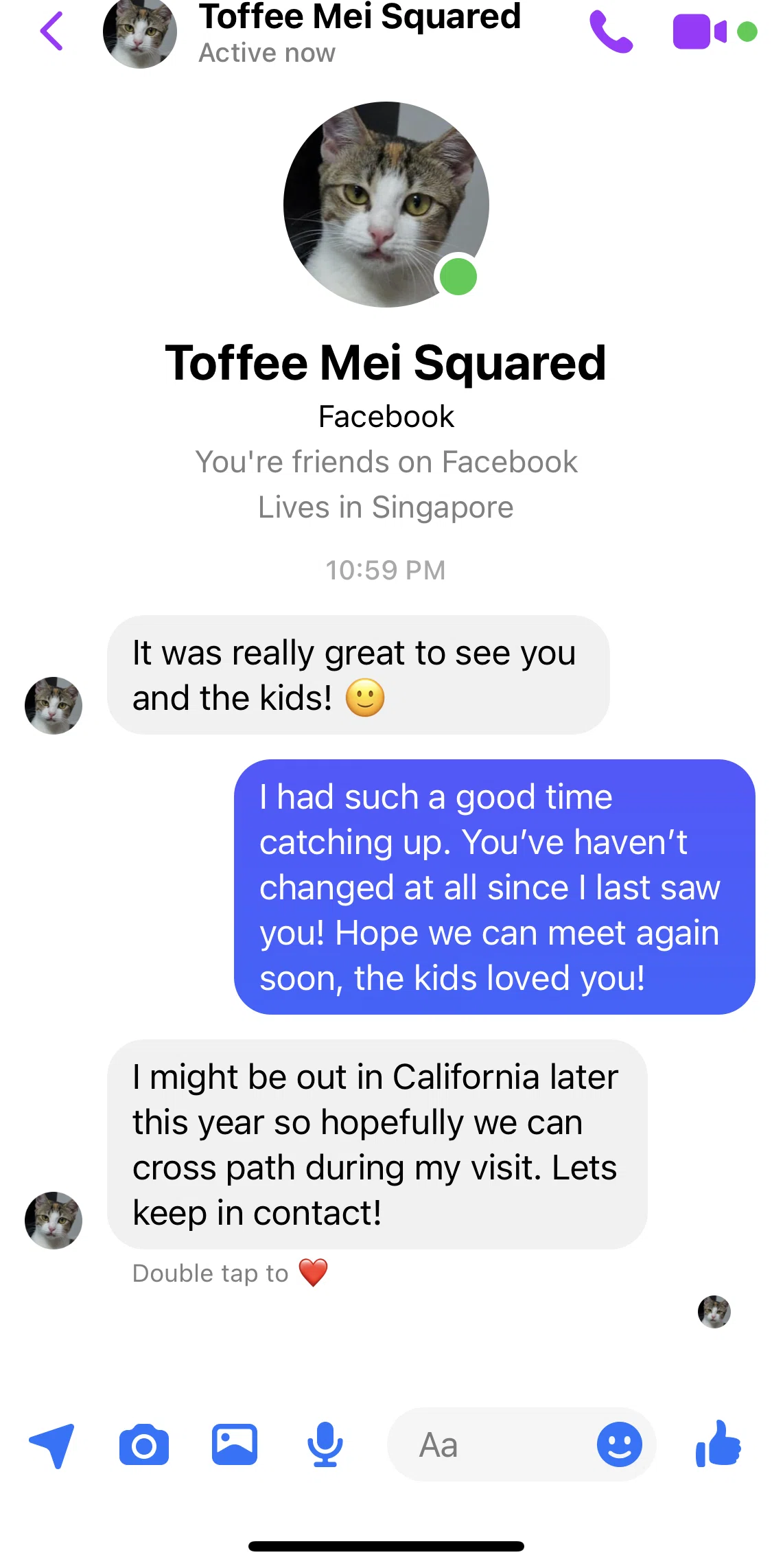 Messenger Screen screen in the Reacting to a message flow