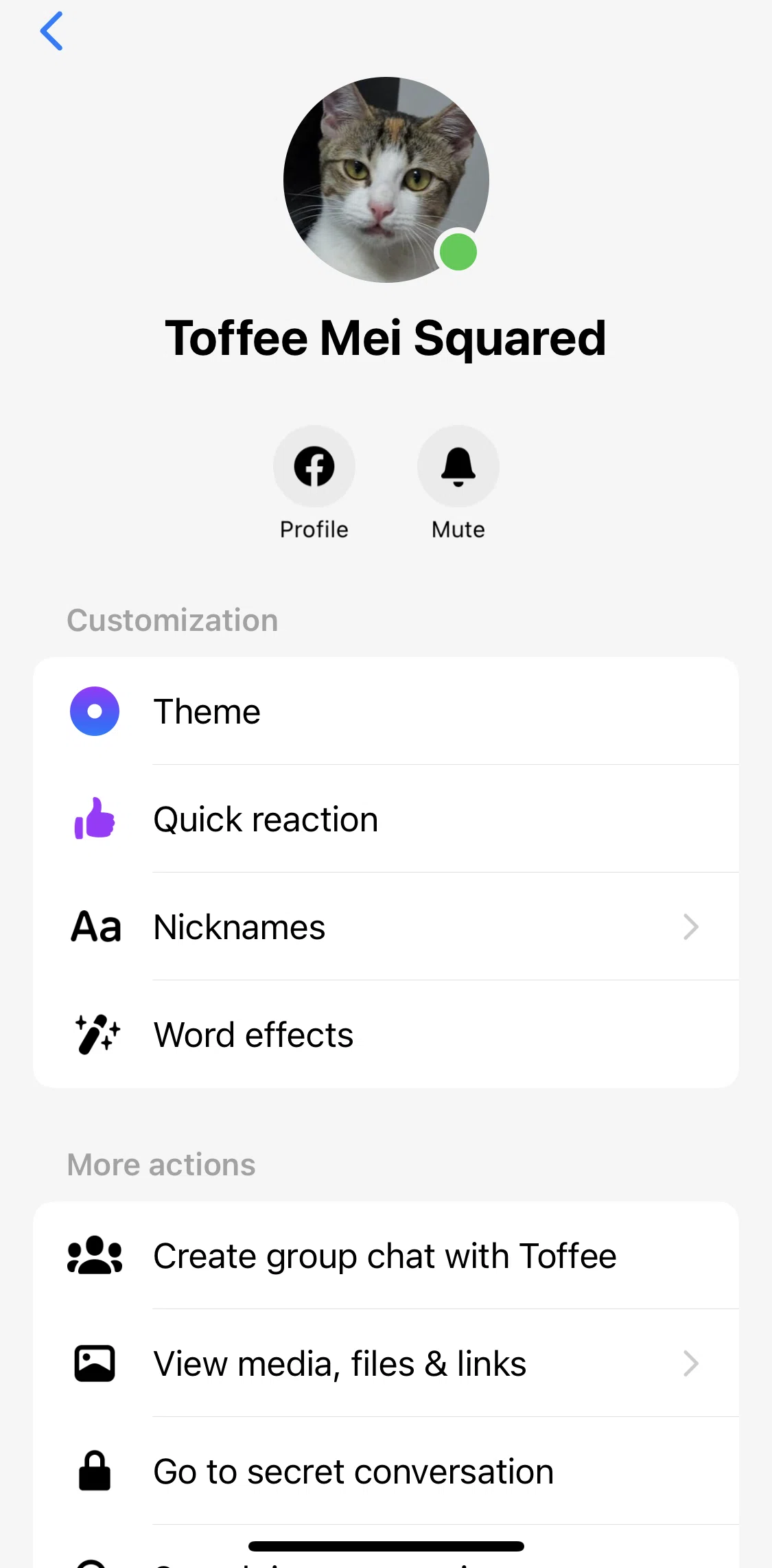 Messenger Screen screen in the Setting a nickname flow