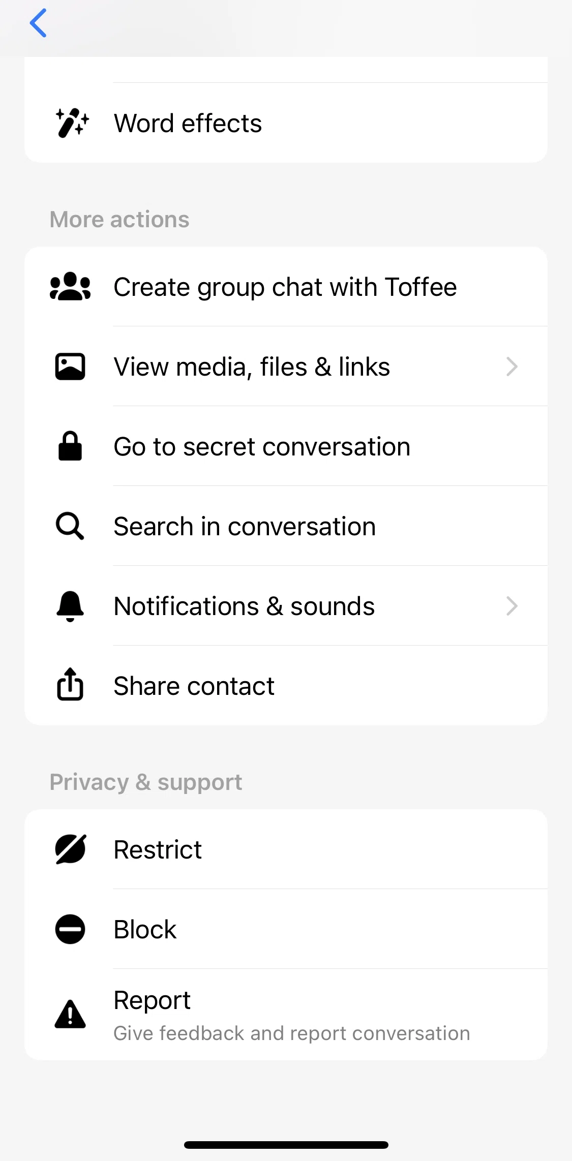 Messenger Screen screen in the View media files flow