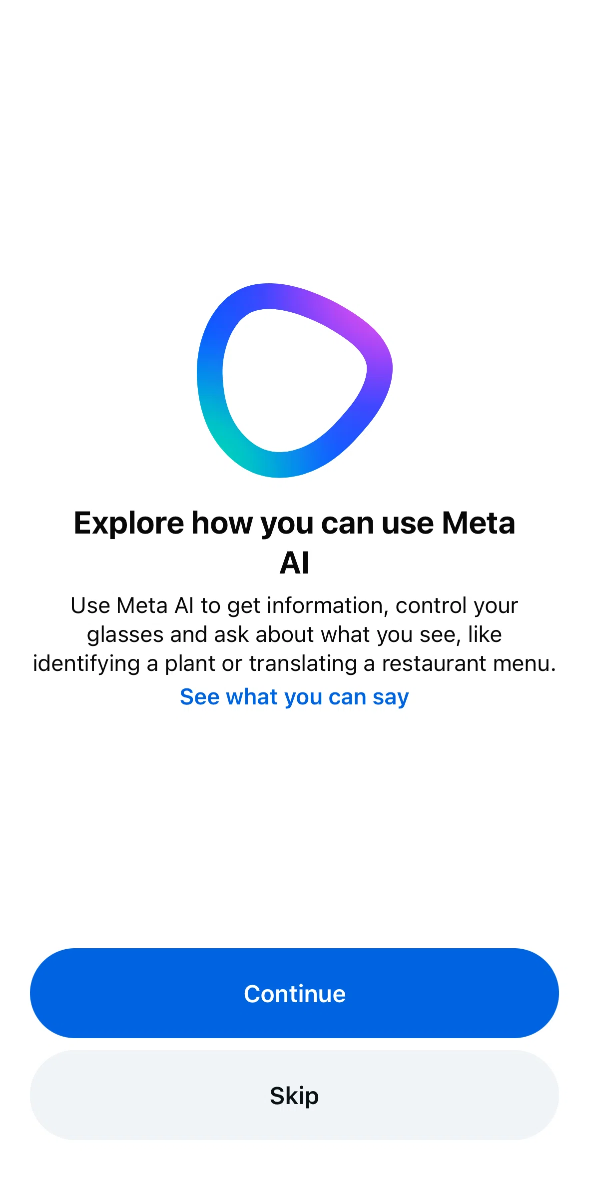 Meta AI Screen screen in the Setting up Meta AI flow