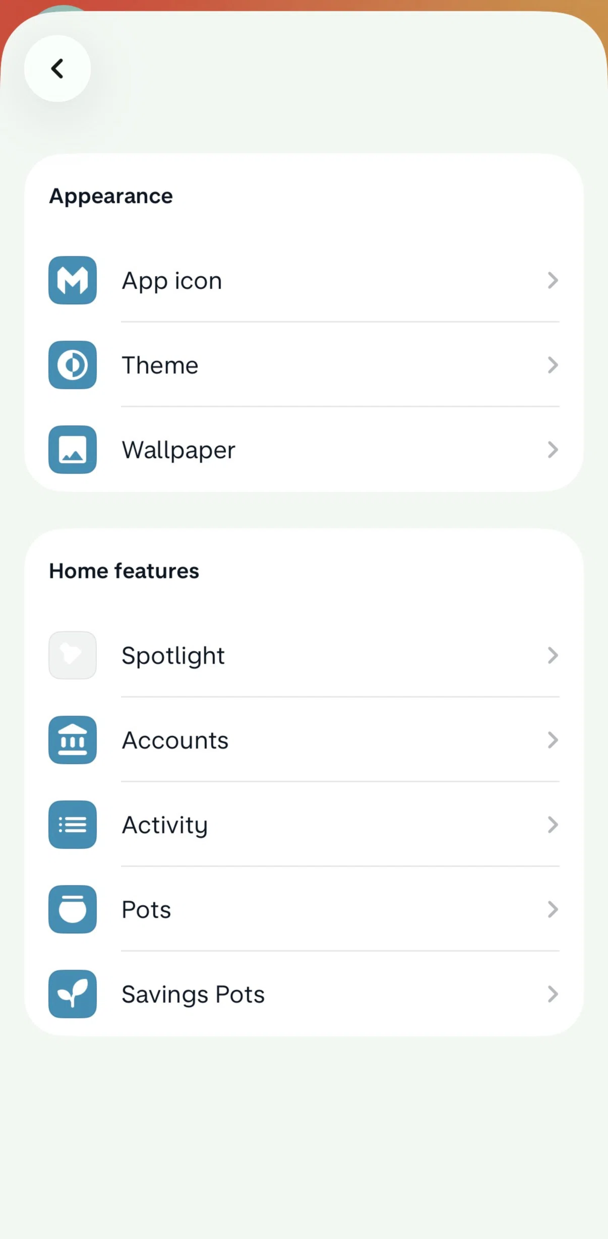 Monzo Screen screen in the Changing wallpaper flow