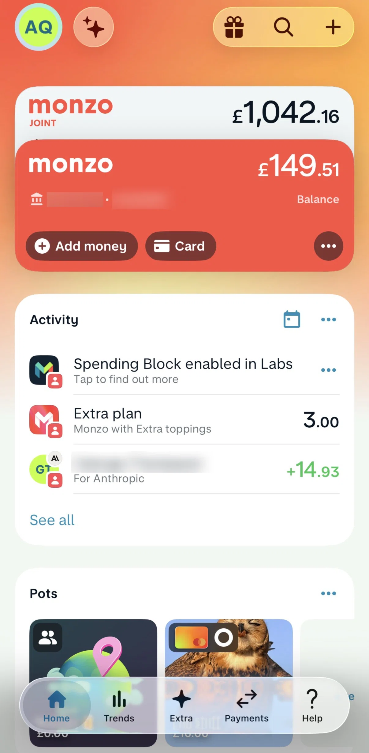 Monzo Screen screen in the Extra flow