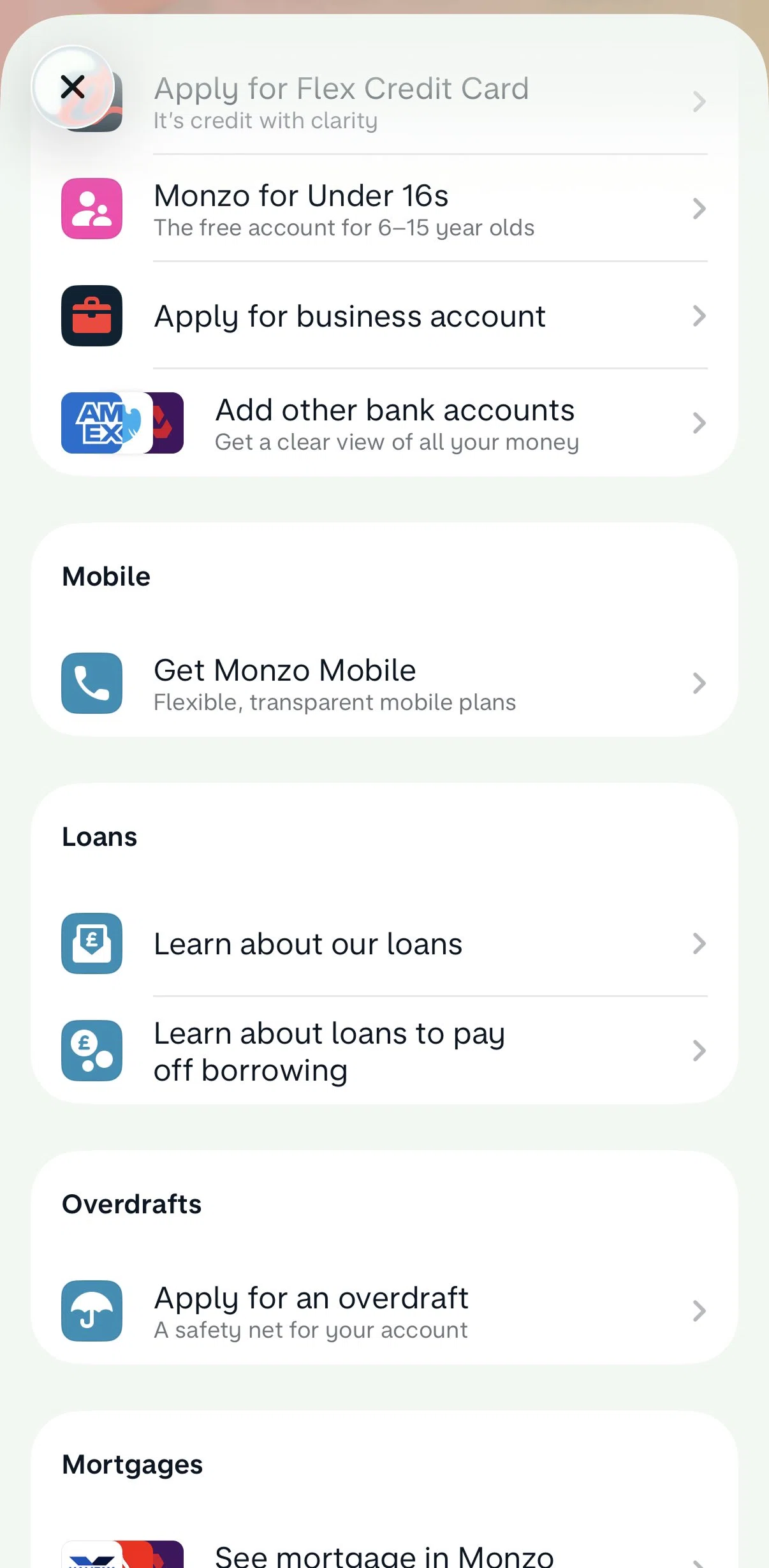 Monzo Screen screen in the Joining a waitlist flow