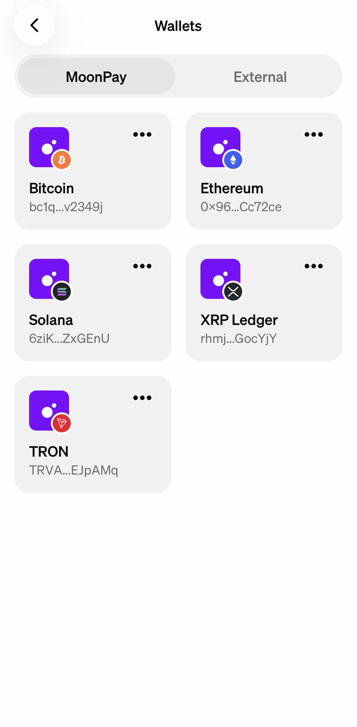 MoonPay Screen screen in the Wallet detail flow