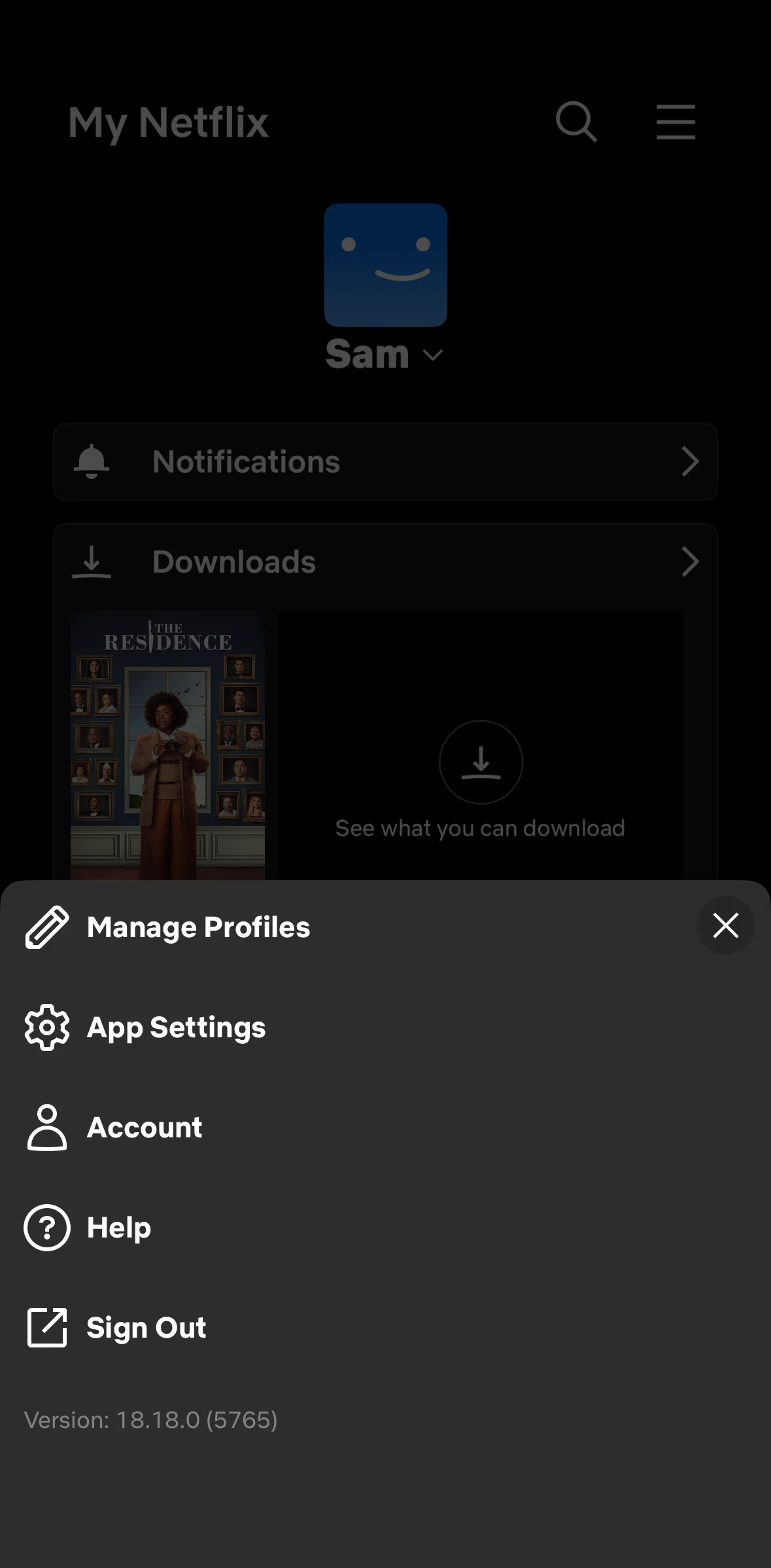 Netflix Screen screen in the Account flow