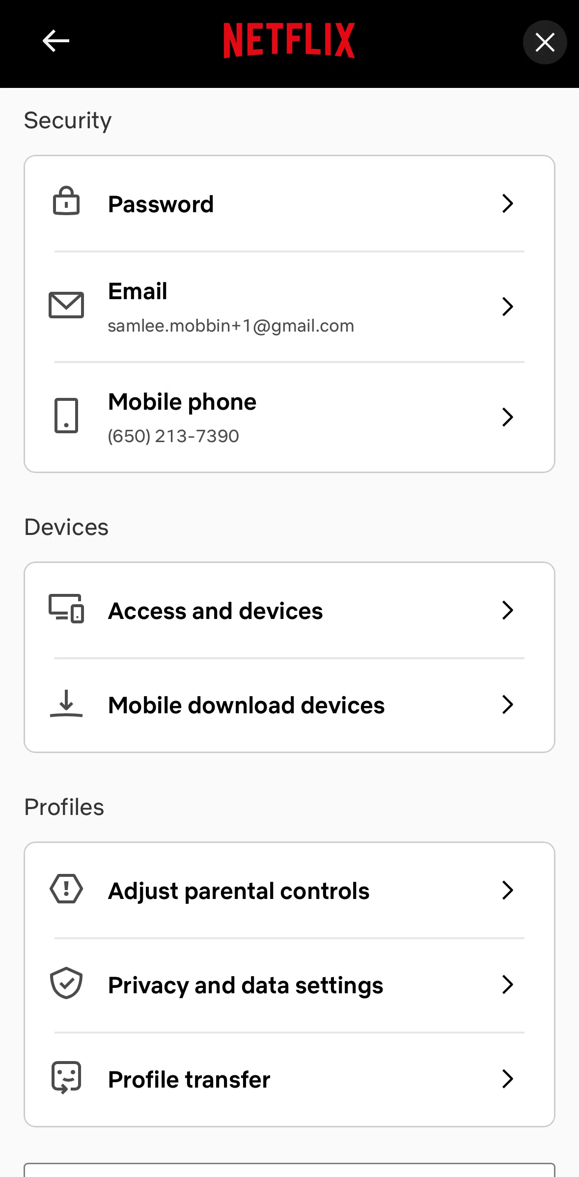 Netflix Screen screen in the Changing password flow