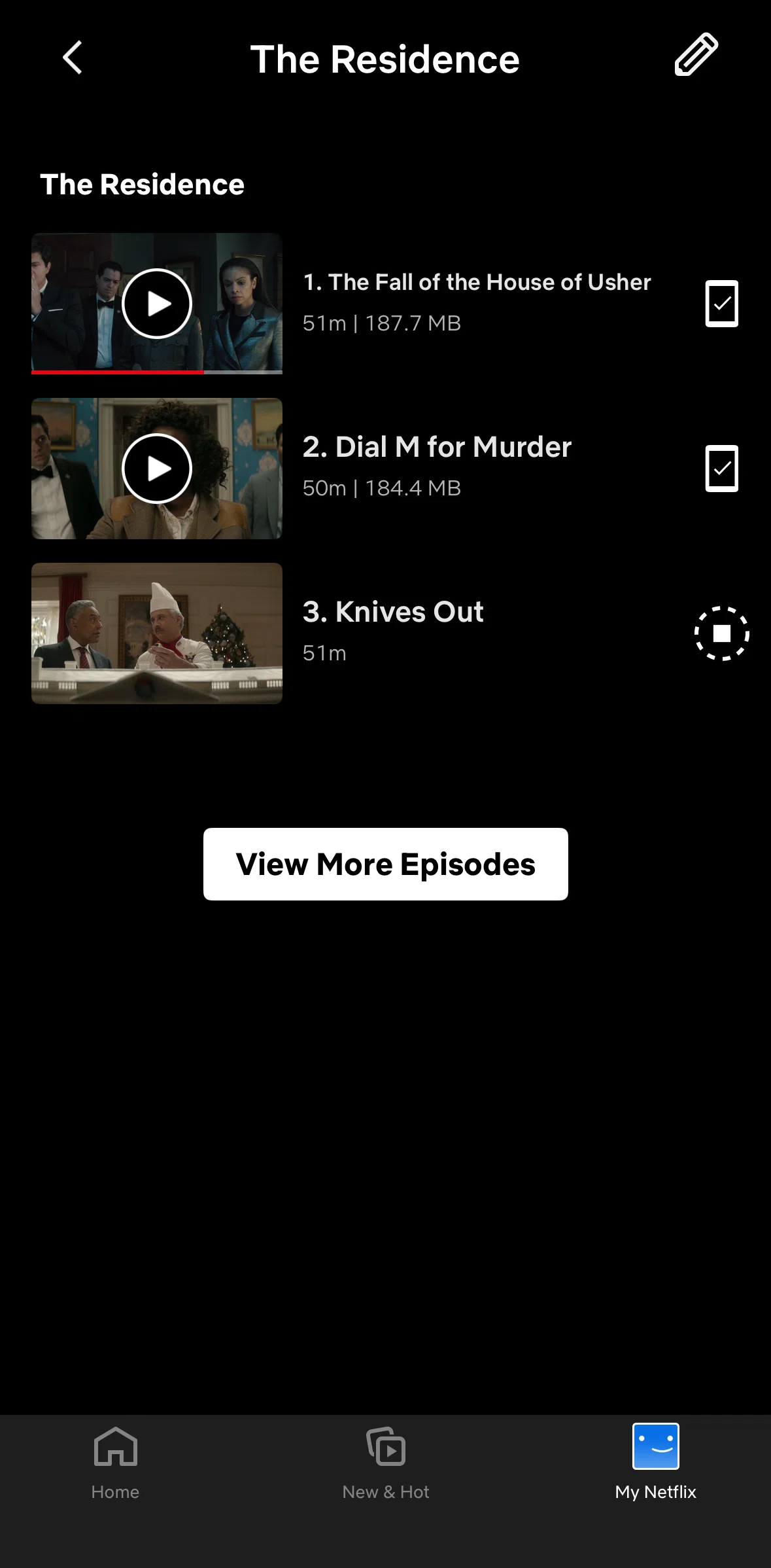 Netflix Screen screen in the Deleting an episode from downloads flow