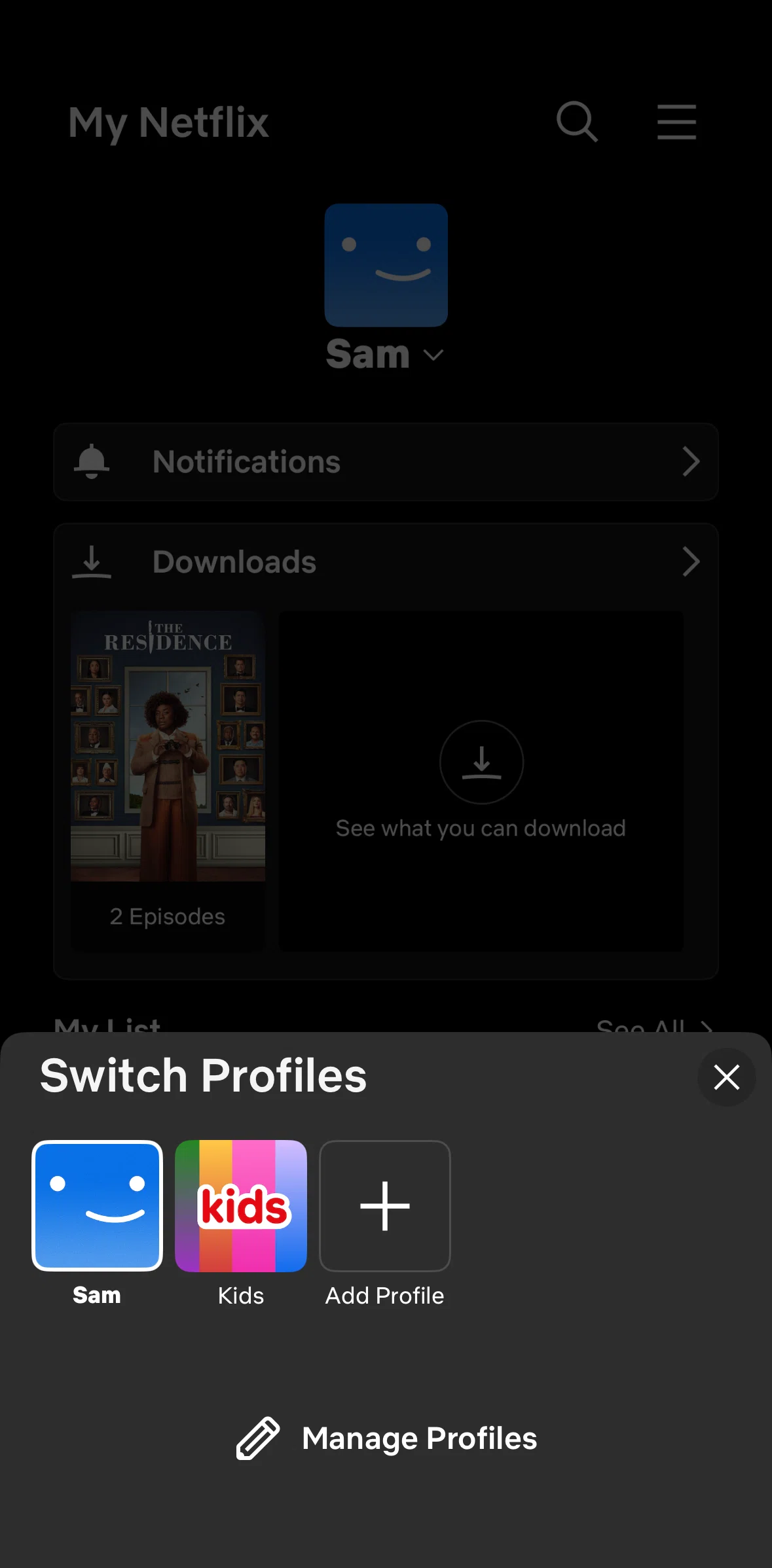 Netflix Screen screen in the Editing profile flow