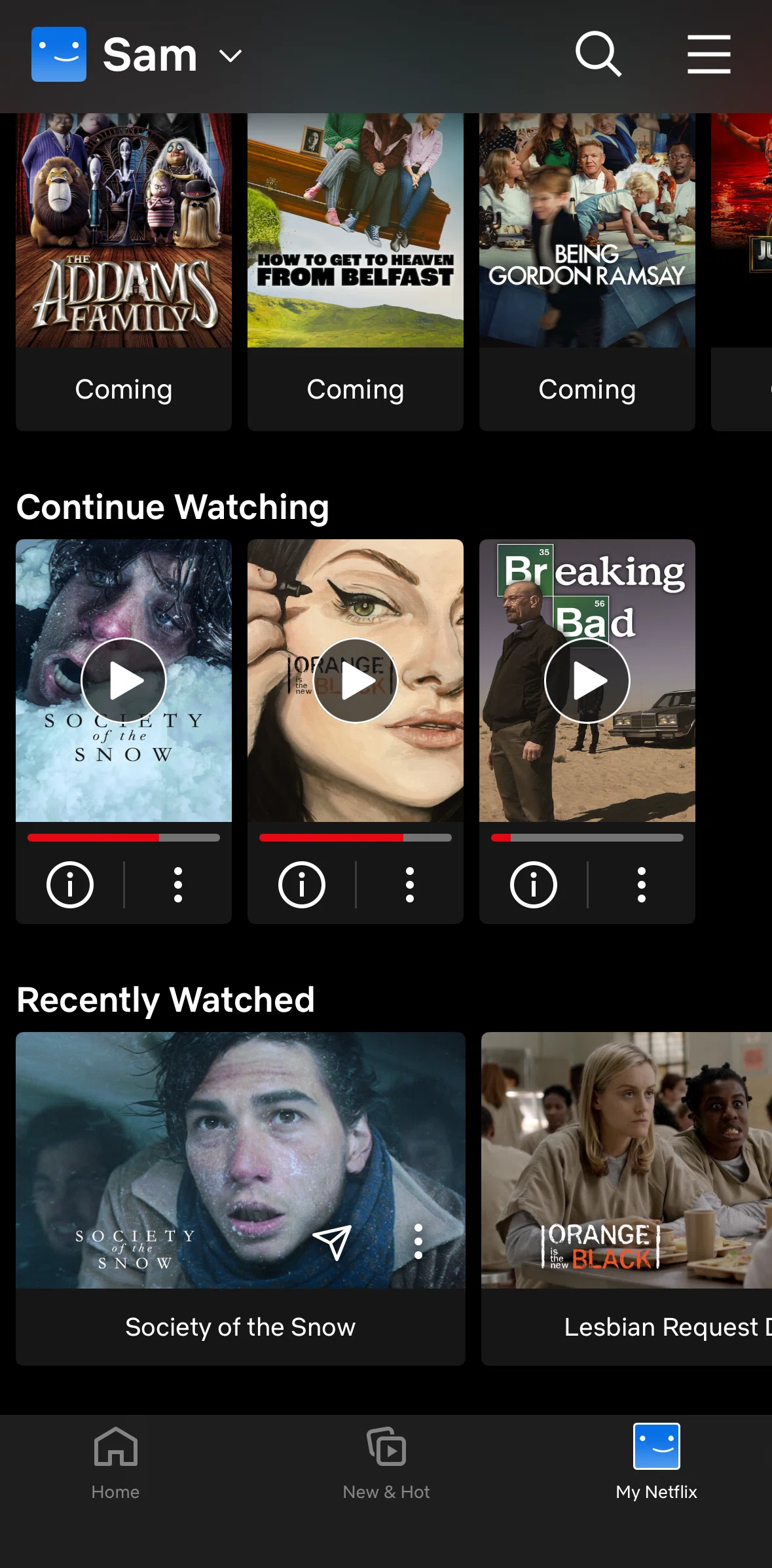 Netflix Screen screen in the Hiding a movie from watch history flow