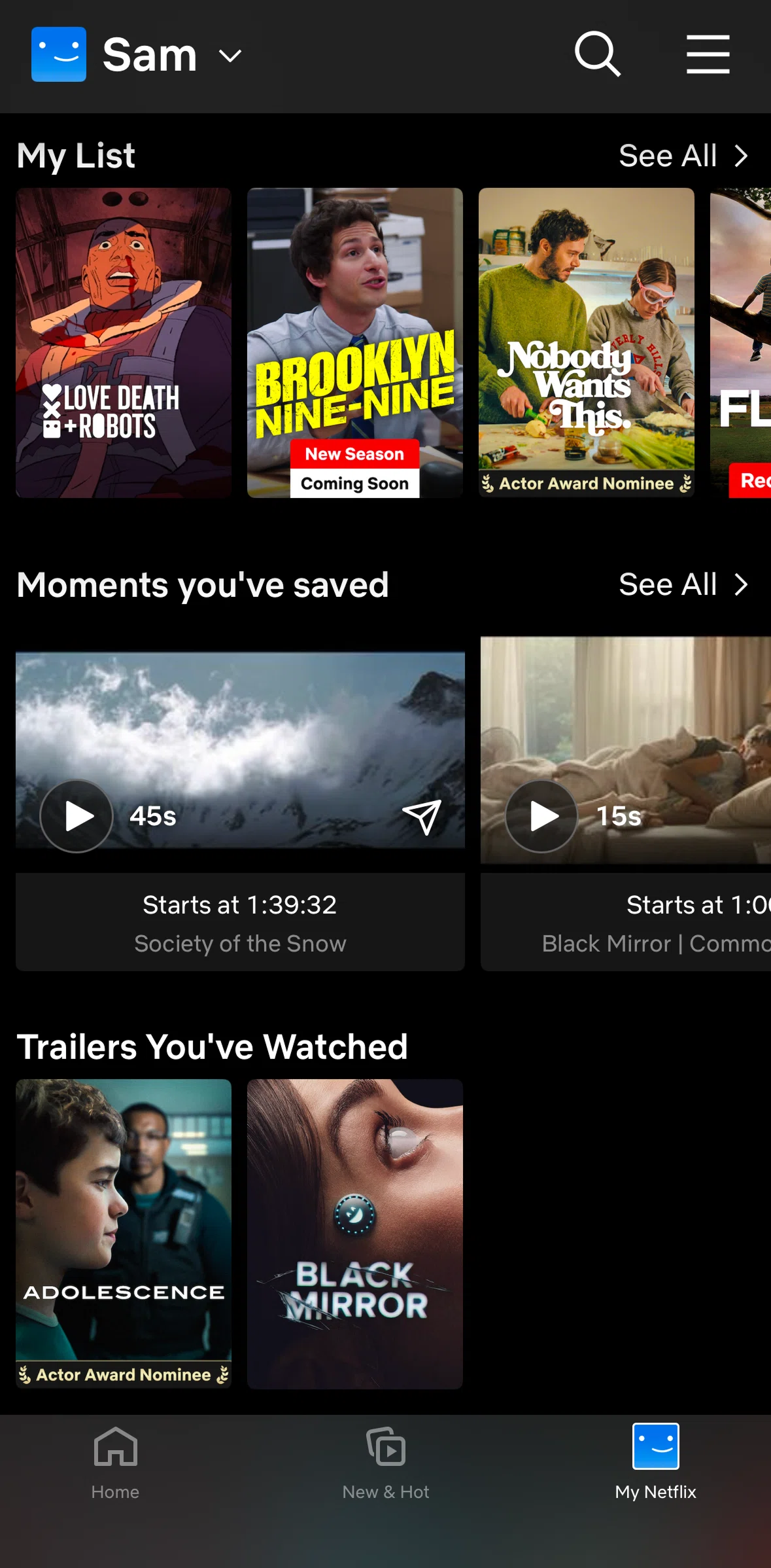 Netflix Screen screen in the My list flow