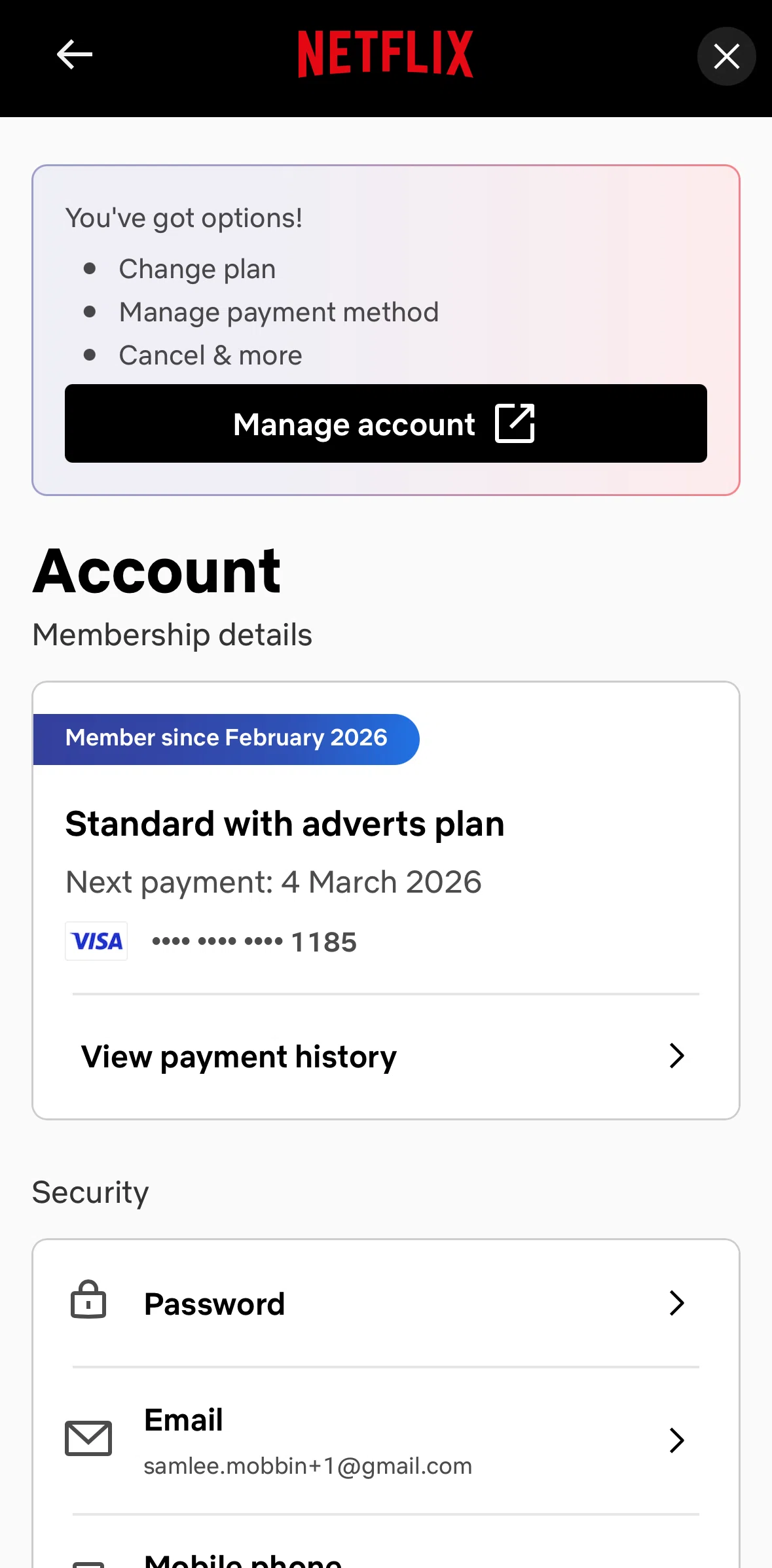 Netflix Screen screen in the Payment history flow
