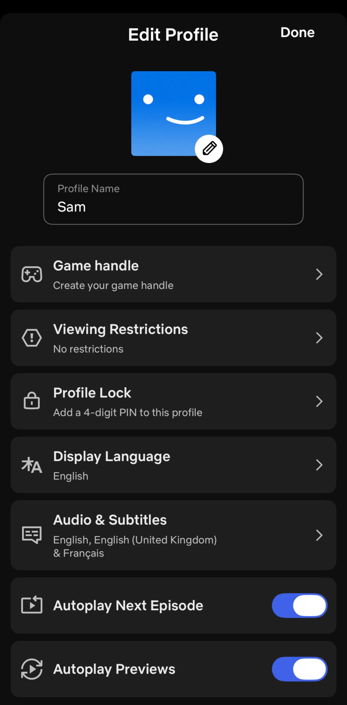 Netflix Screen screen in the Setting up a profile lock flow