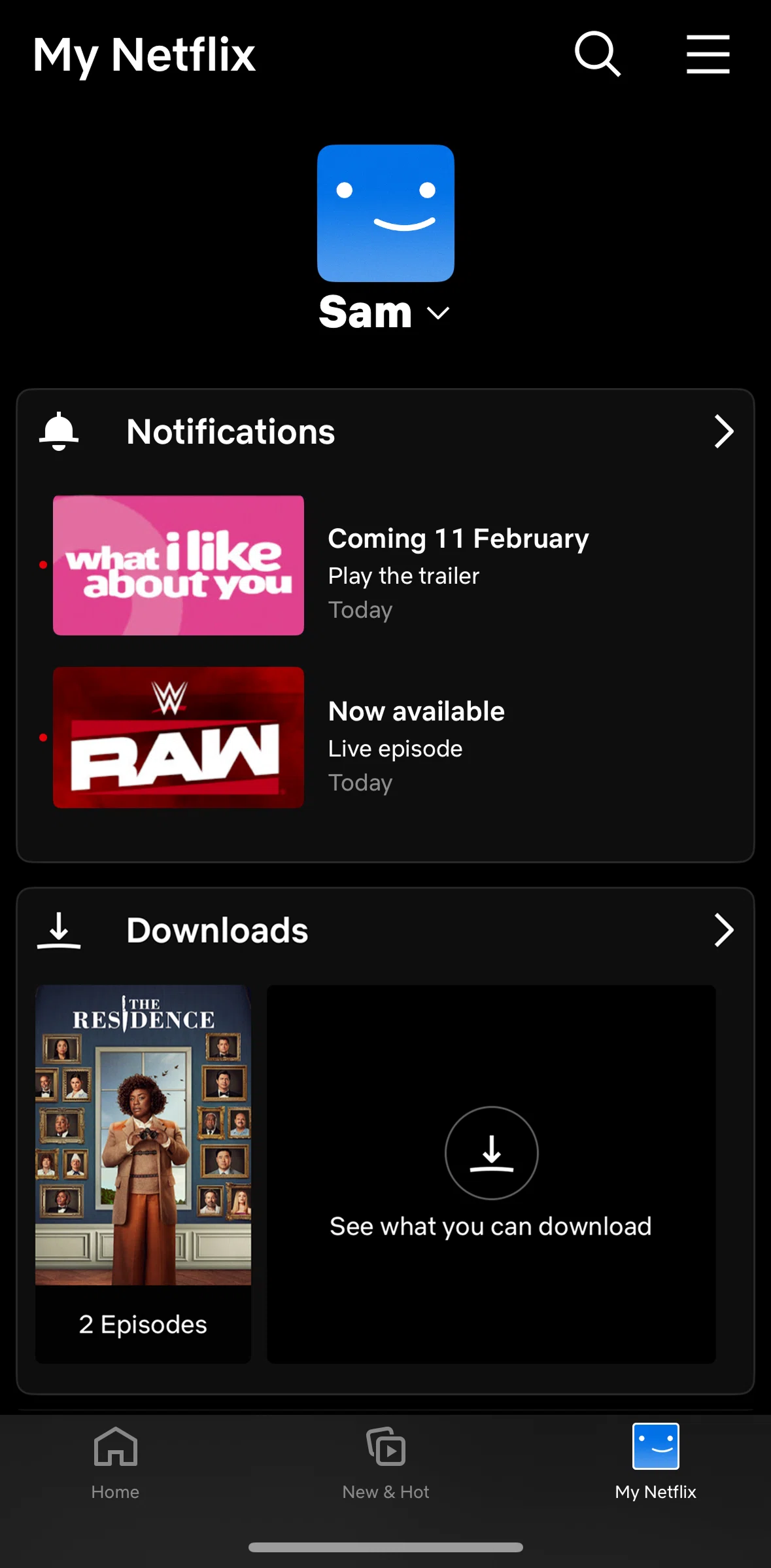 Netflix Screen screen in the Switching to Kids profile flow