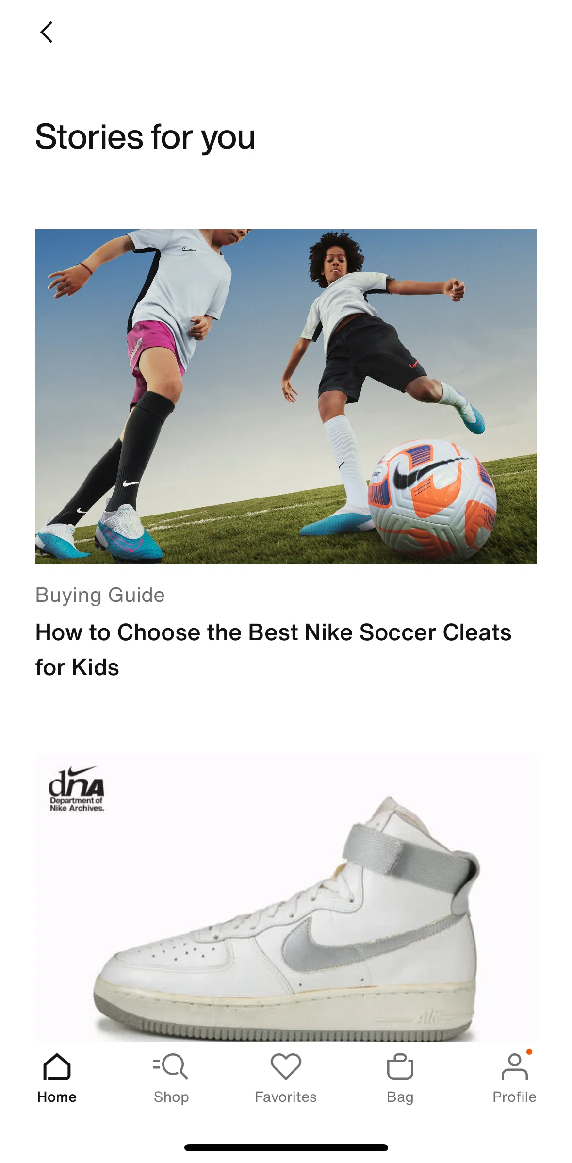Nike Screen screen in the View a story flow