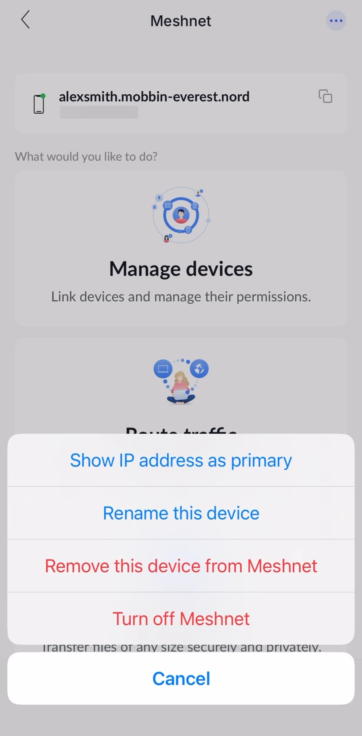 NordVPN Screen screen in the Removing a device flow