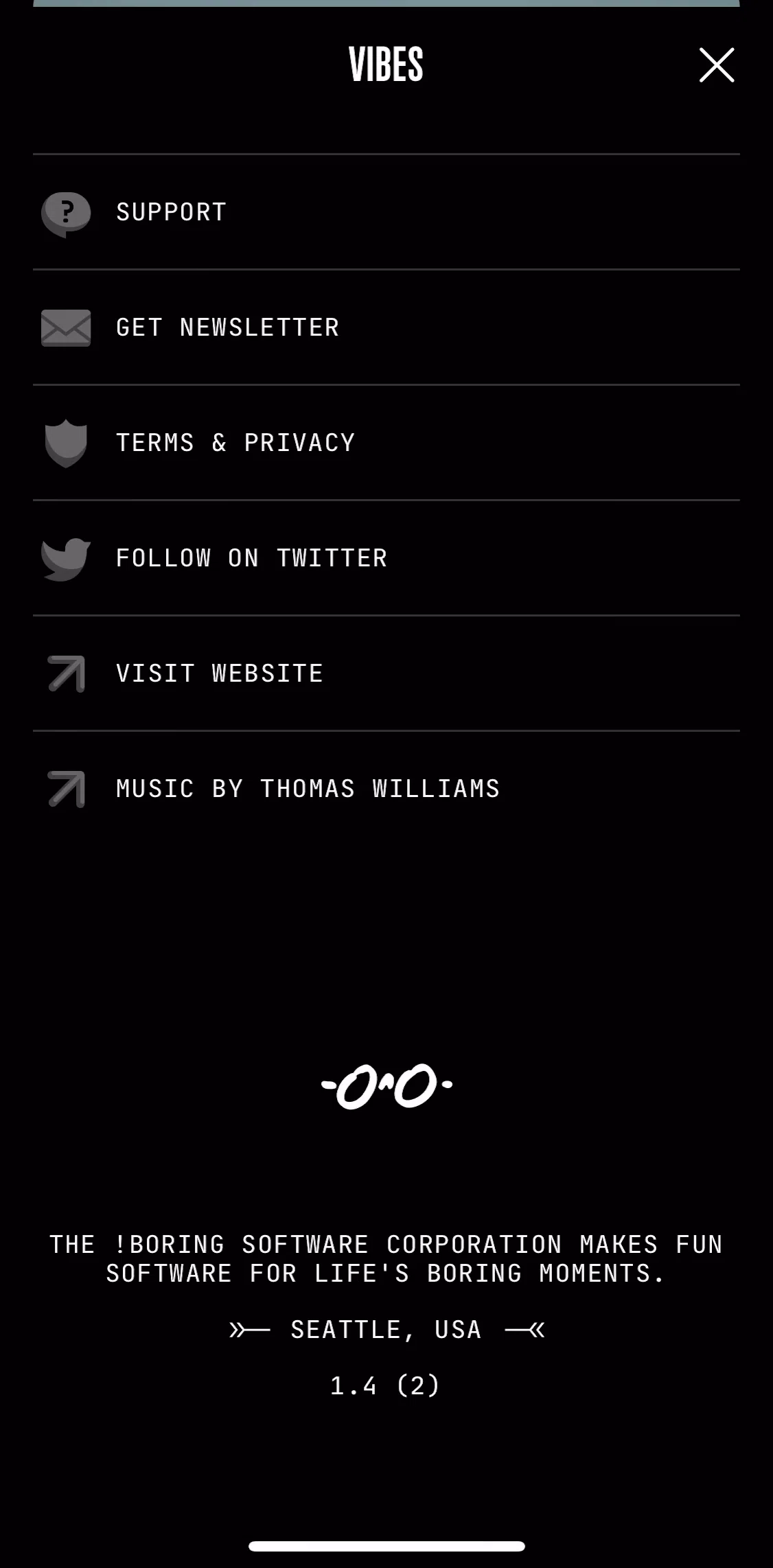 (Not Boring) Vibes Screen screen in the Terms and privacy flow