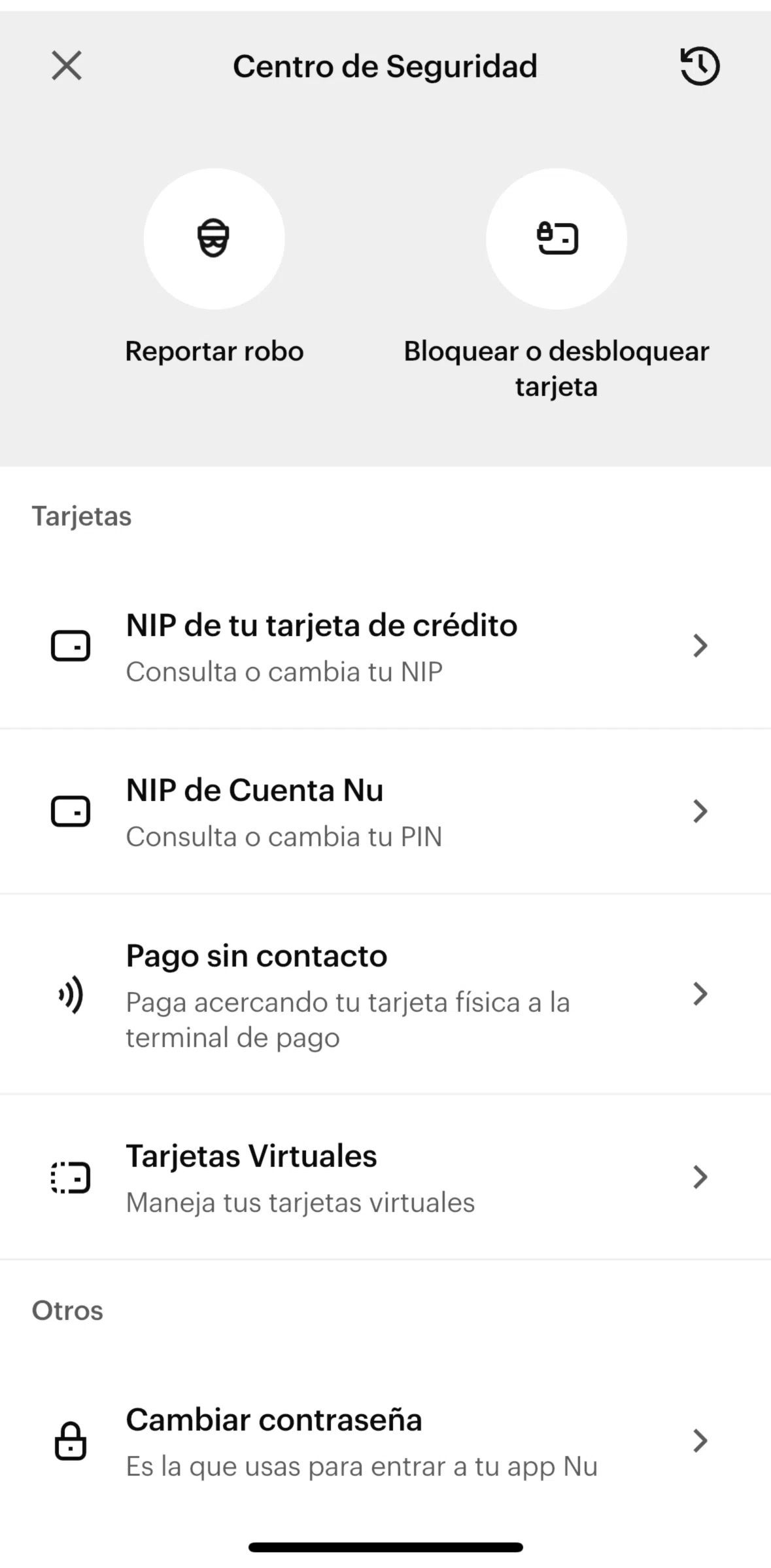 Nu Screen screen in the Report theft flow
