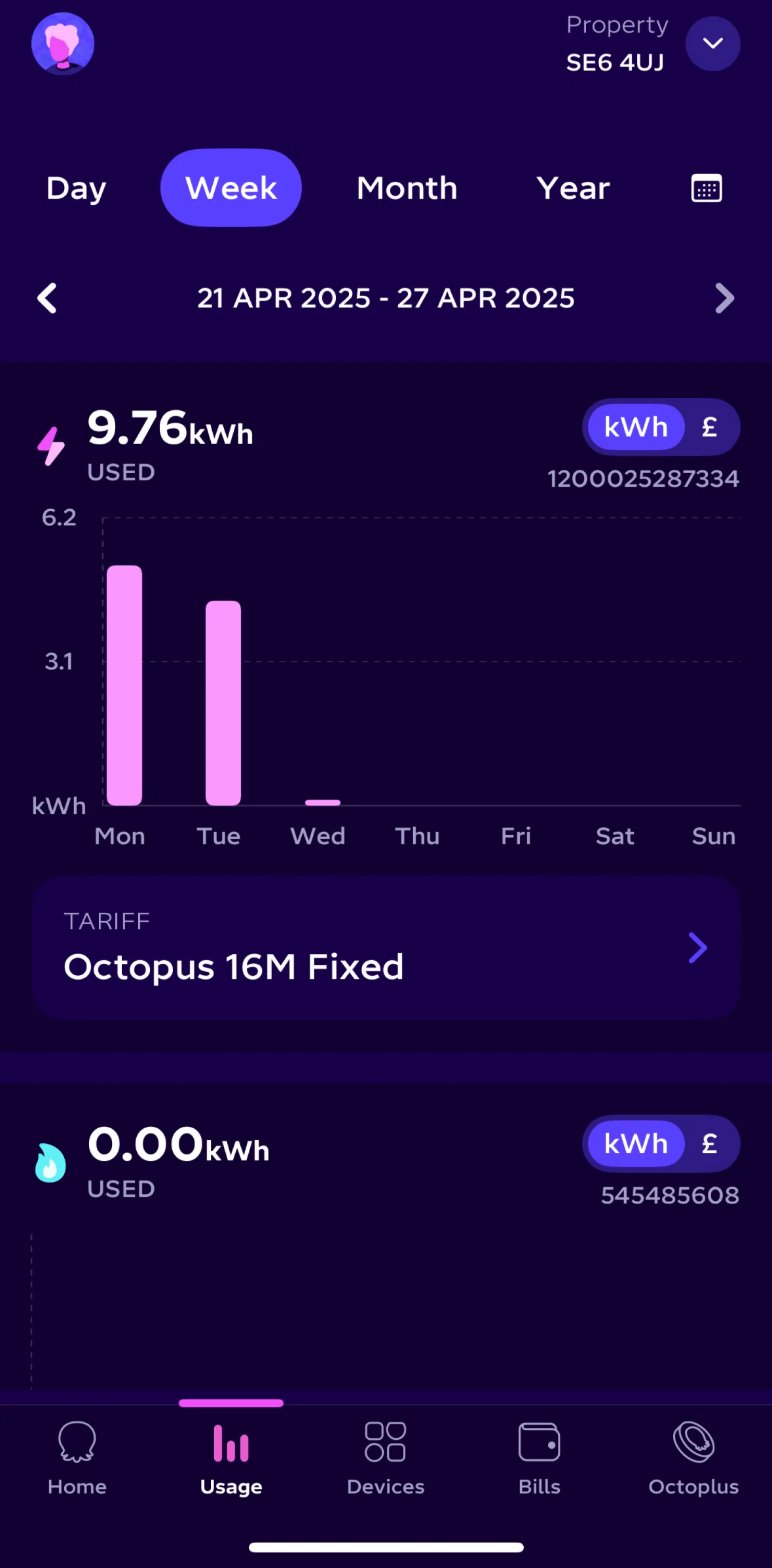 Octopus Energy Screen screen in the Filtering by date flow