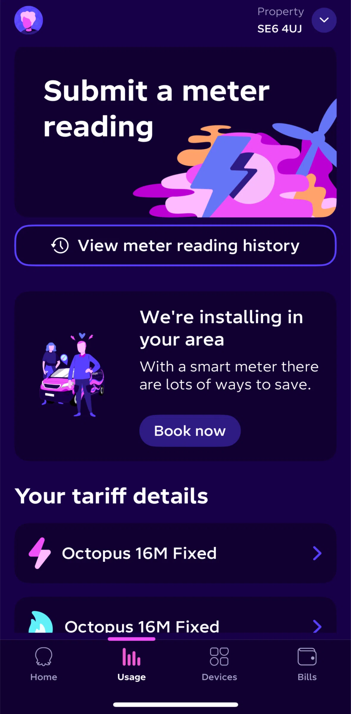 Octopus Energy Screen screen in the Meter reading history flow