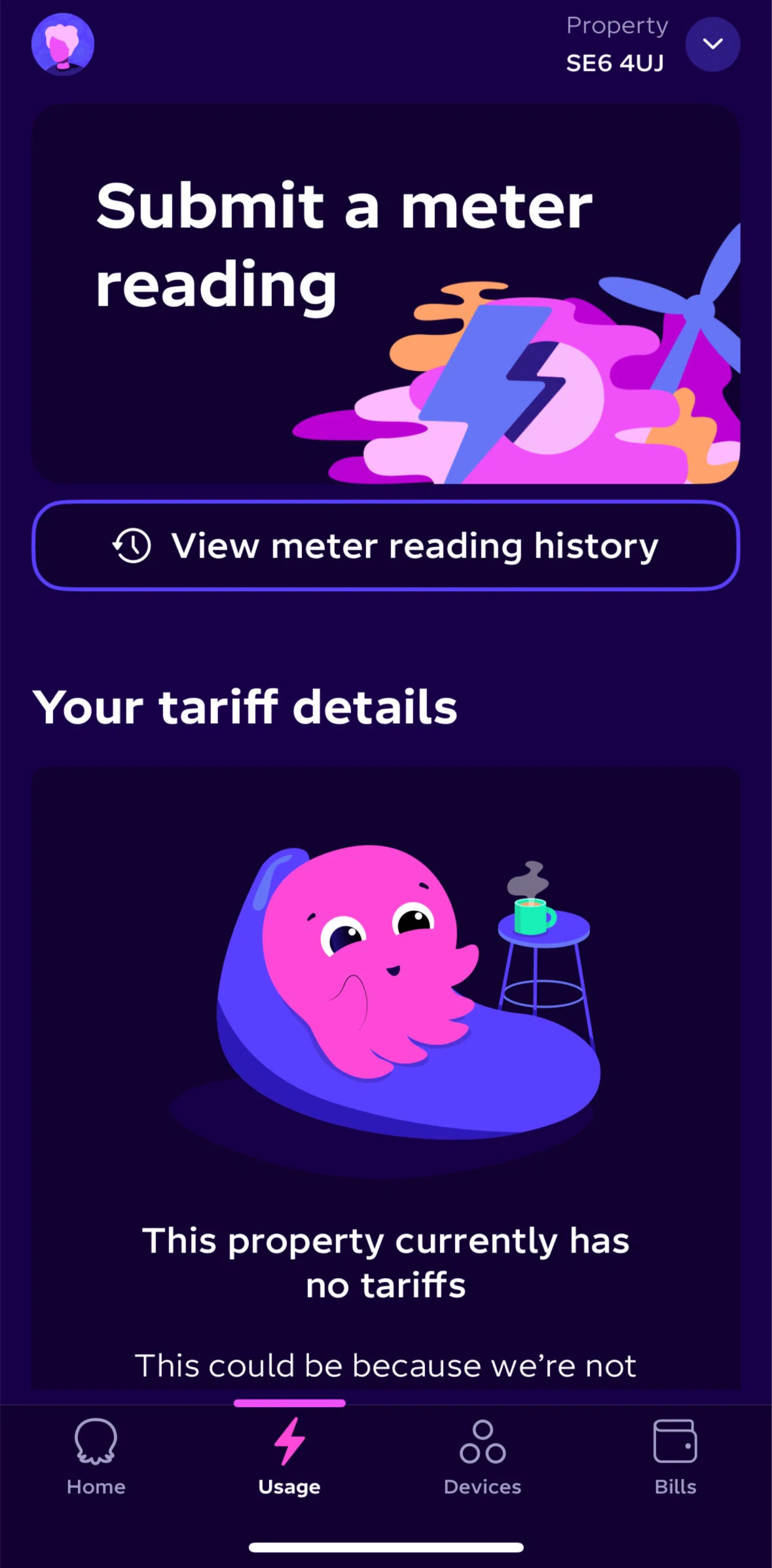 Octopus Energy Screen screen in the Submit a meter reading flow