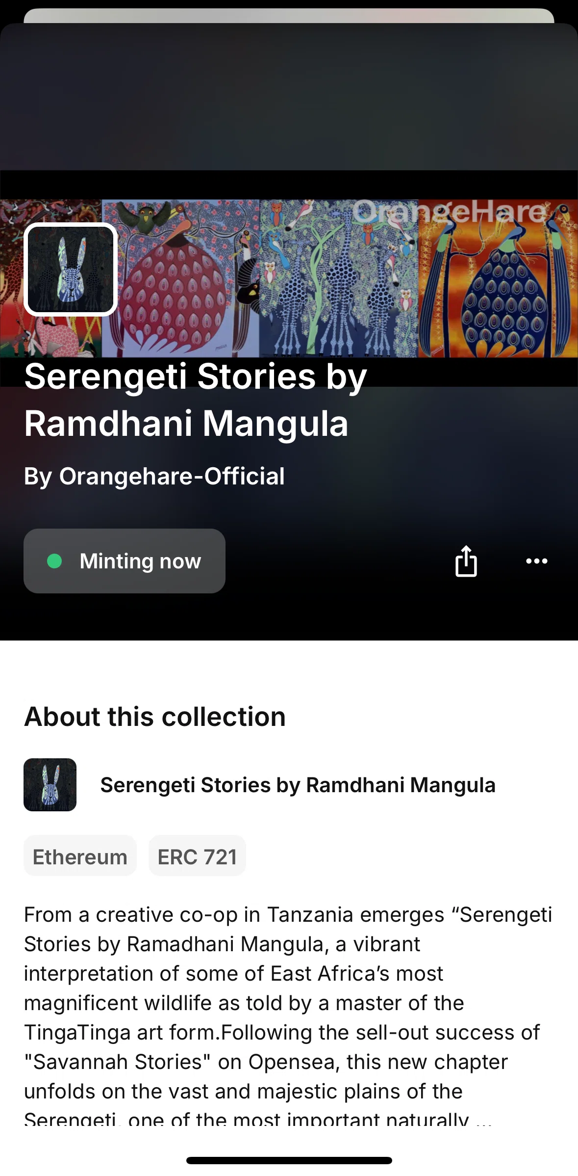 Opensea Screen screen in the Reporting a drop flow