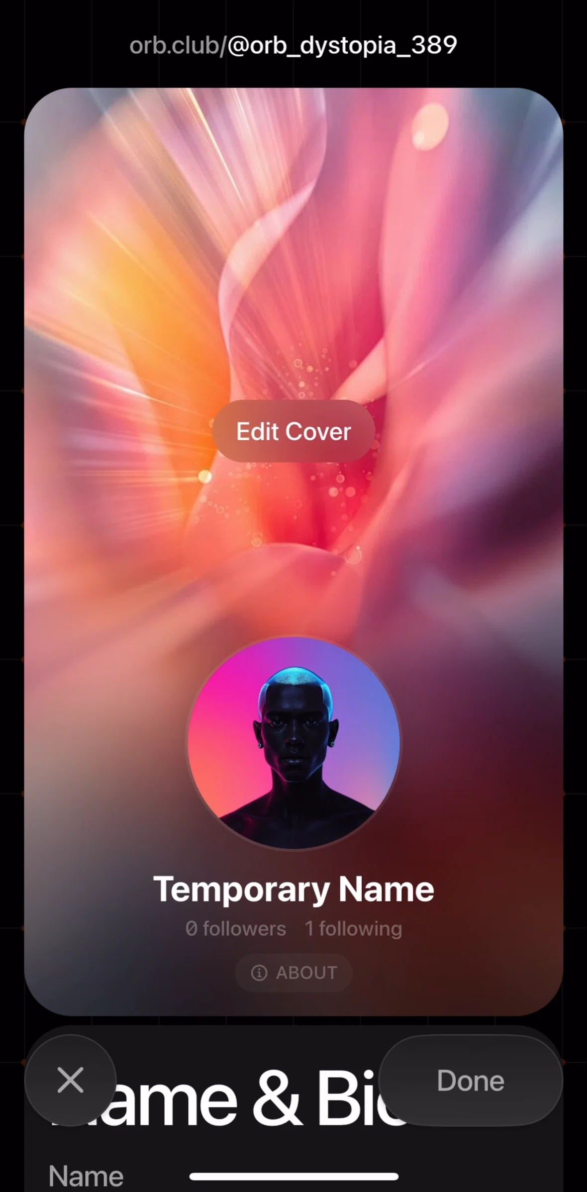 Orb Social Screen screen in the Editing profile flow
