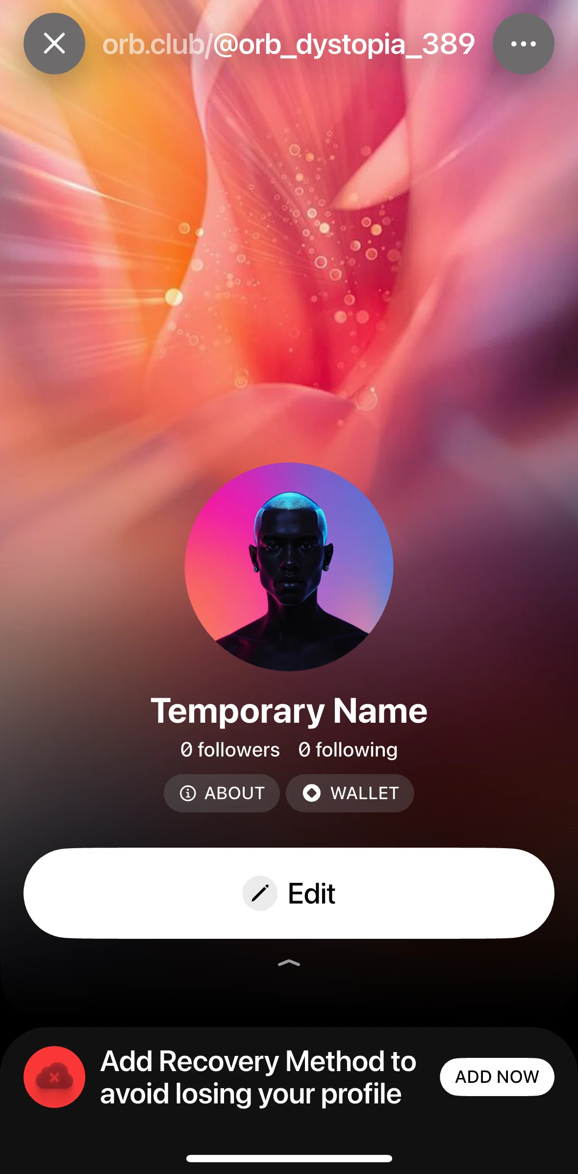 Orb Social Screen screen in the Orb wallet flow