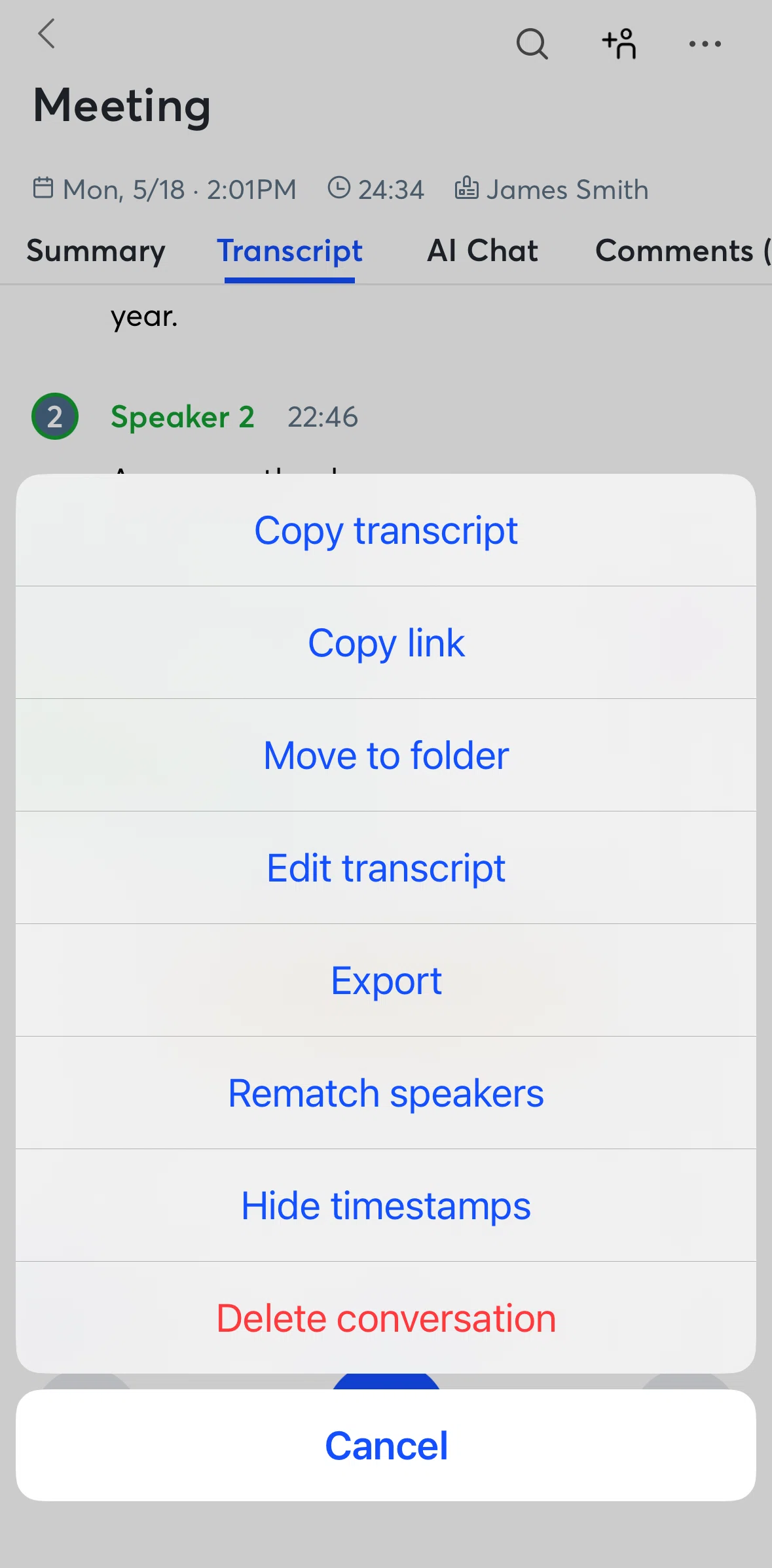Otter AI Screen screen in the Exporting an audio flow