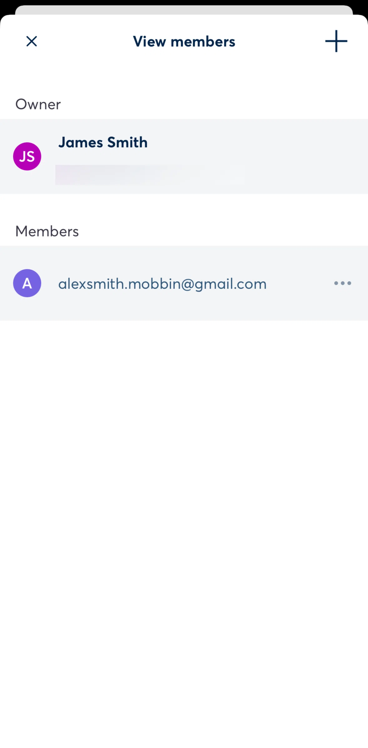 Otter AI Screen screen in the Removing a member flow