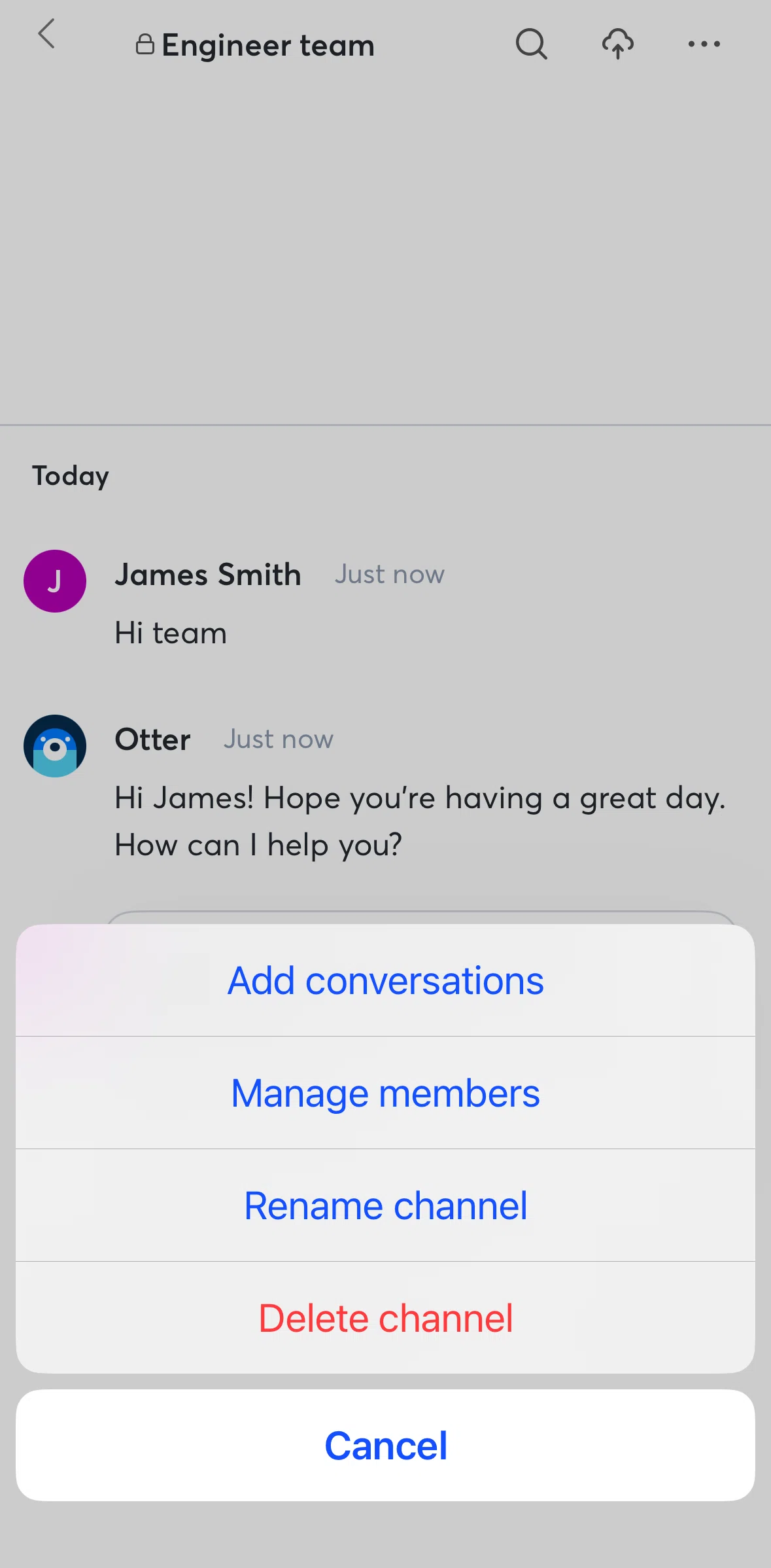 Otter AI Screen screen in the Renaming a channel flow