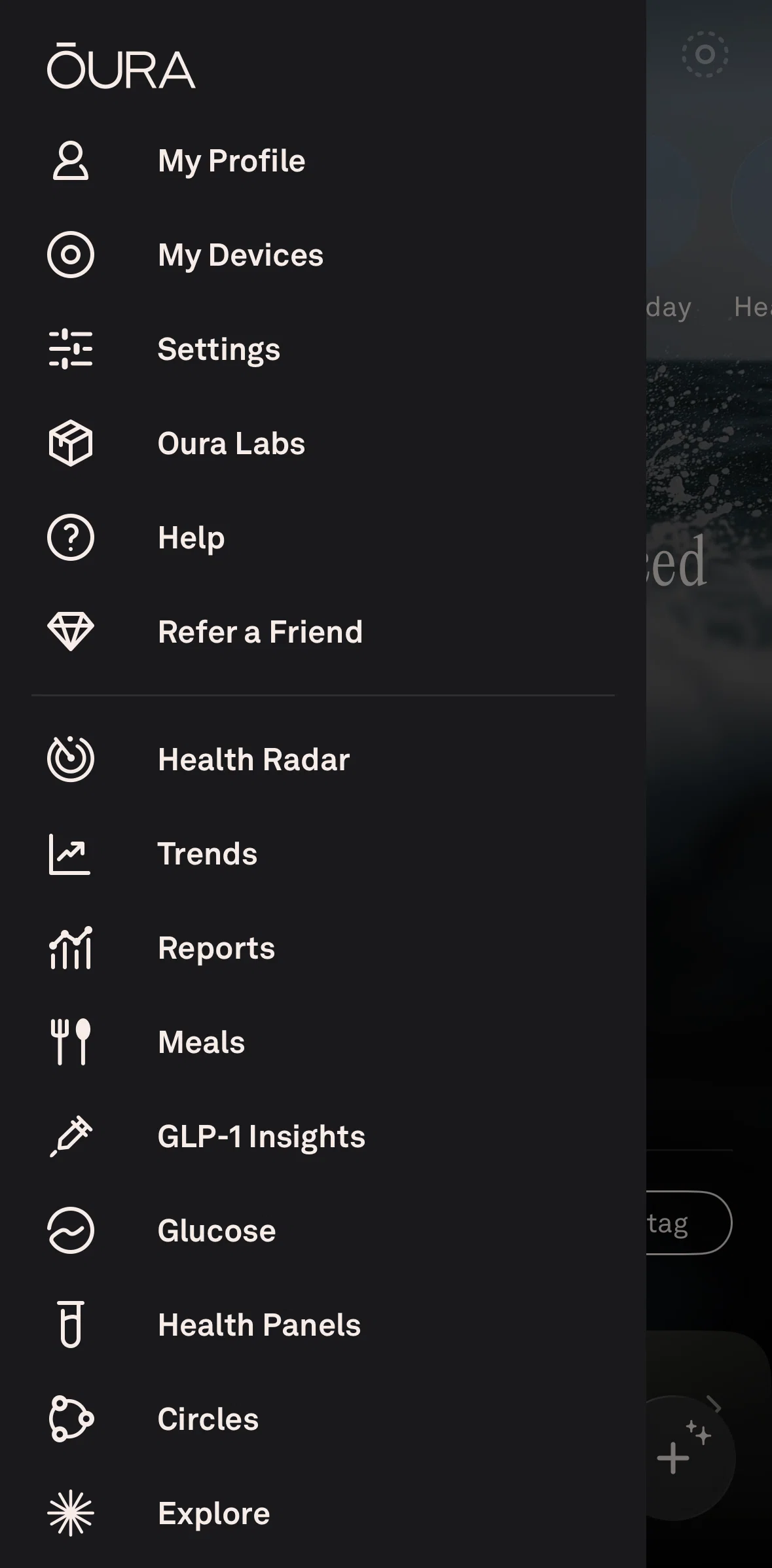 Oura Screen screen in the Chatting with a virtual assistant flow