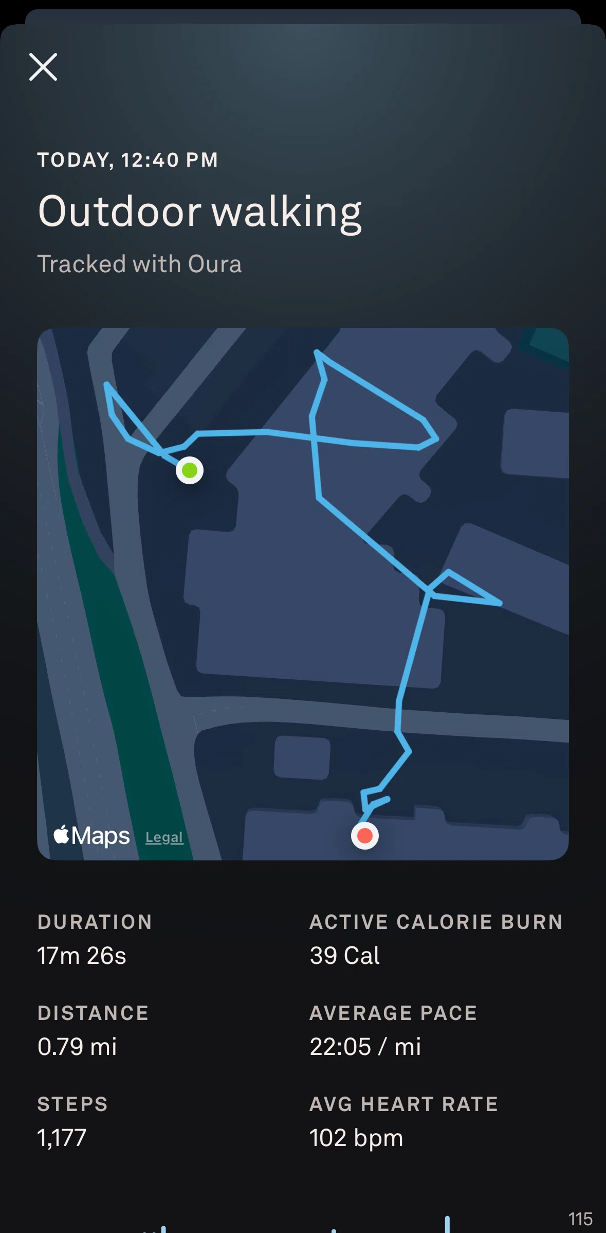 Oura Screen screen in the View route in map flow
