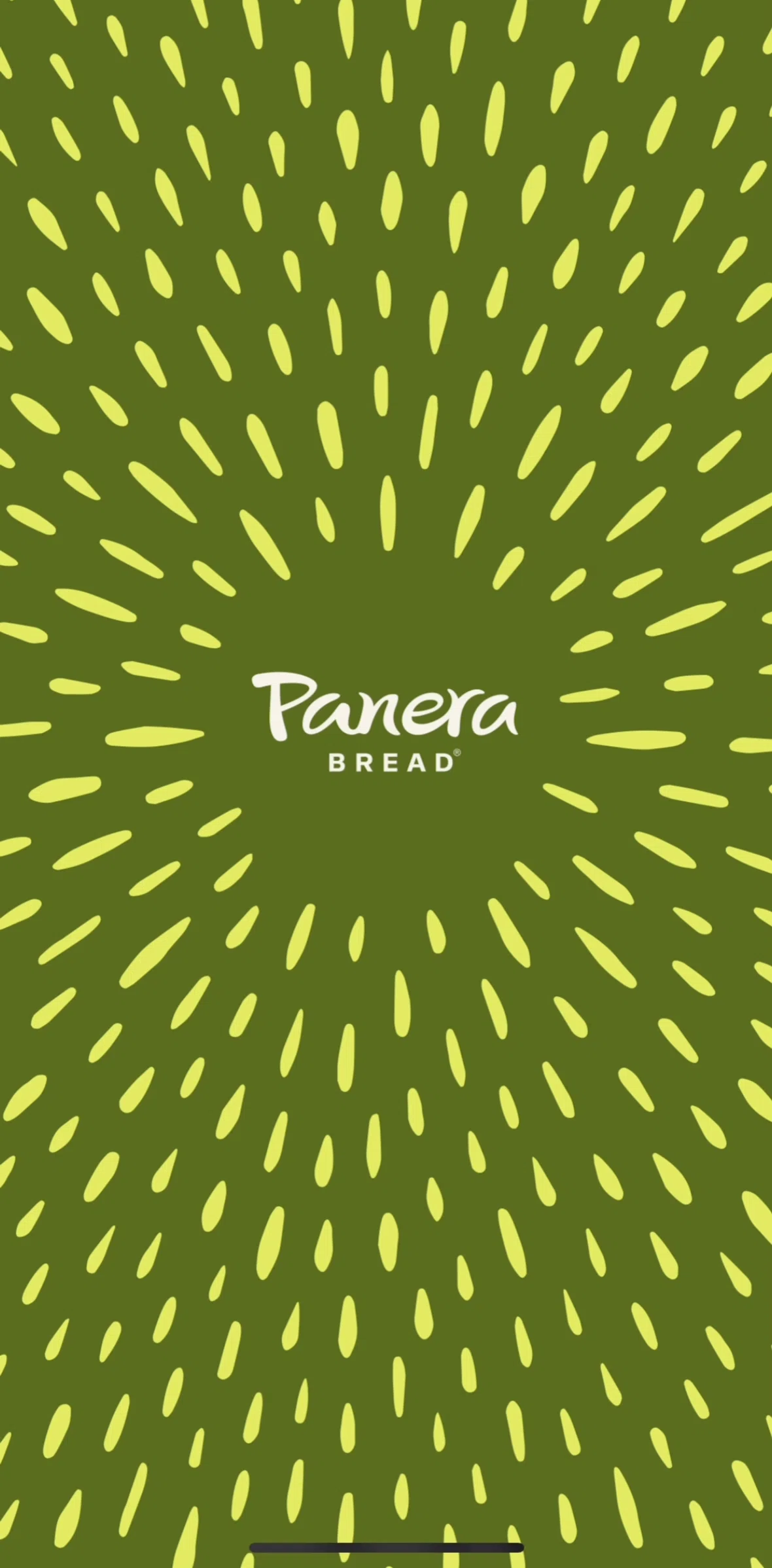 Panera Bread Screen screen in the Onboarding flow