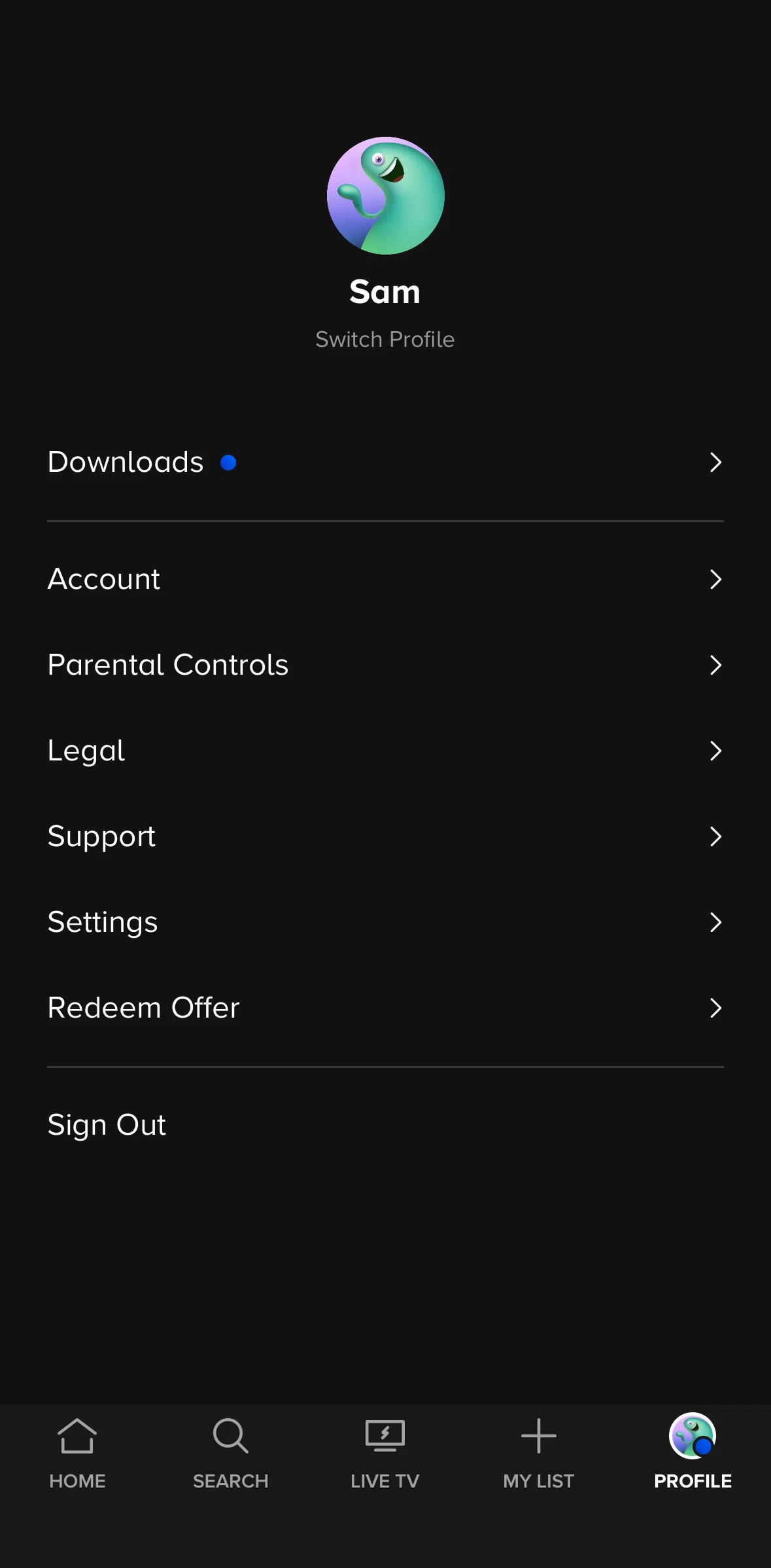 Paramount+ Screen screen in the Switching to kids profile flow