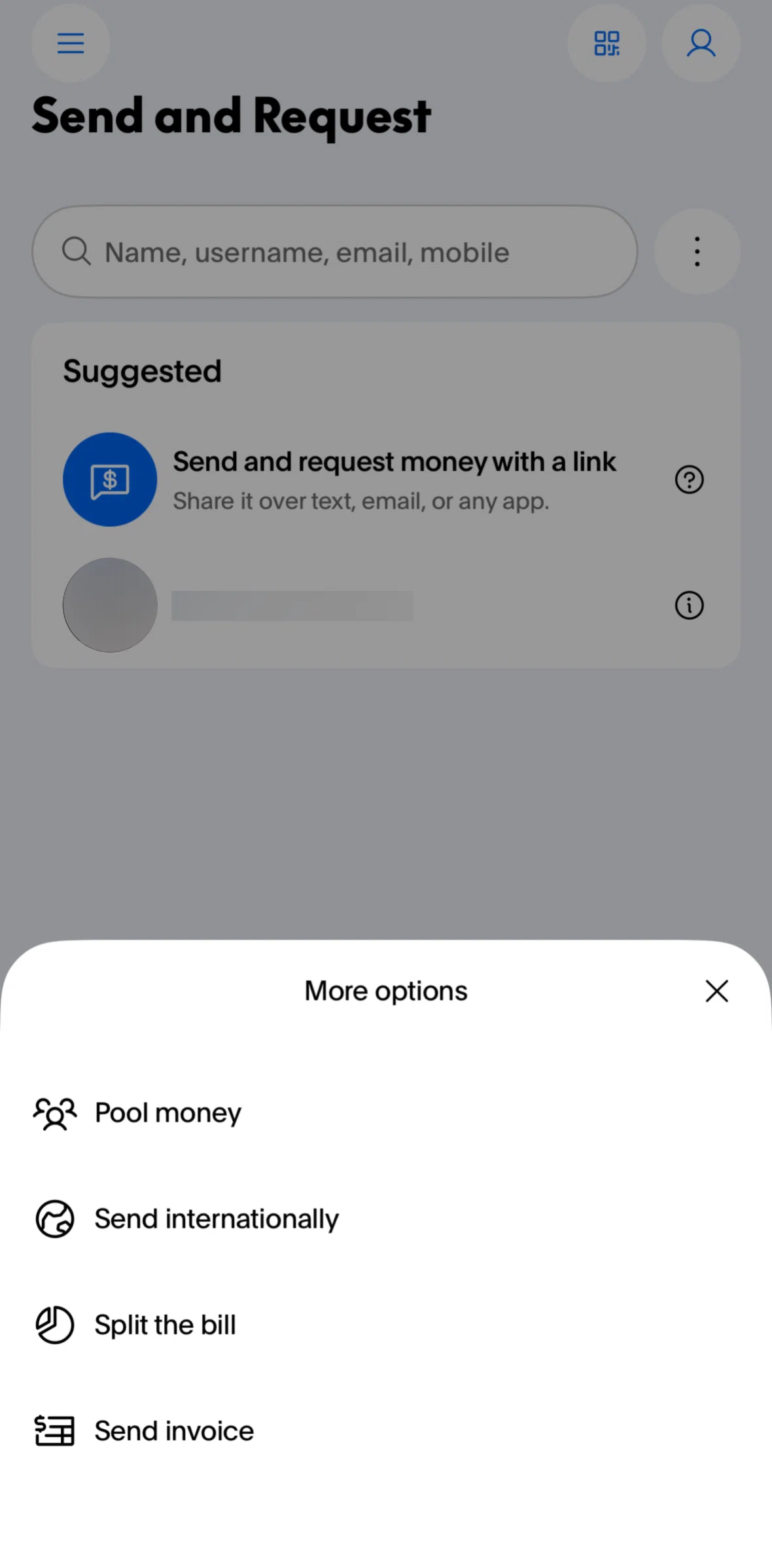 Paypal Screen screen in the Requesting a split payment flow