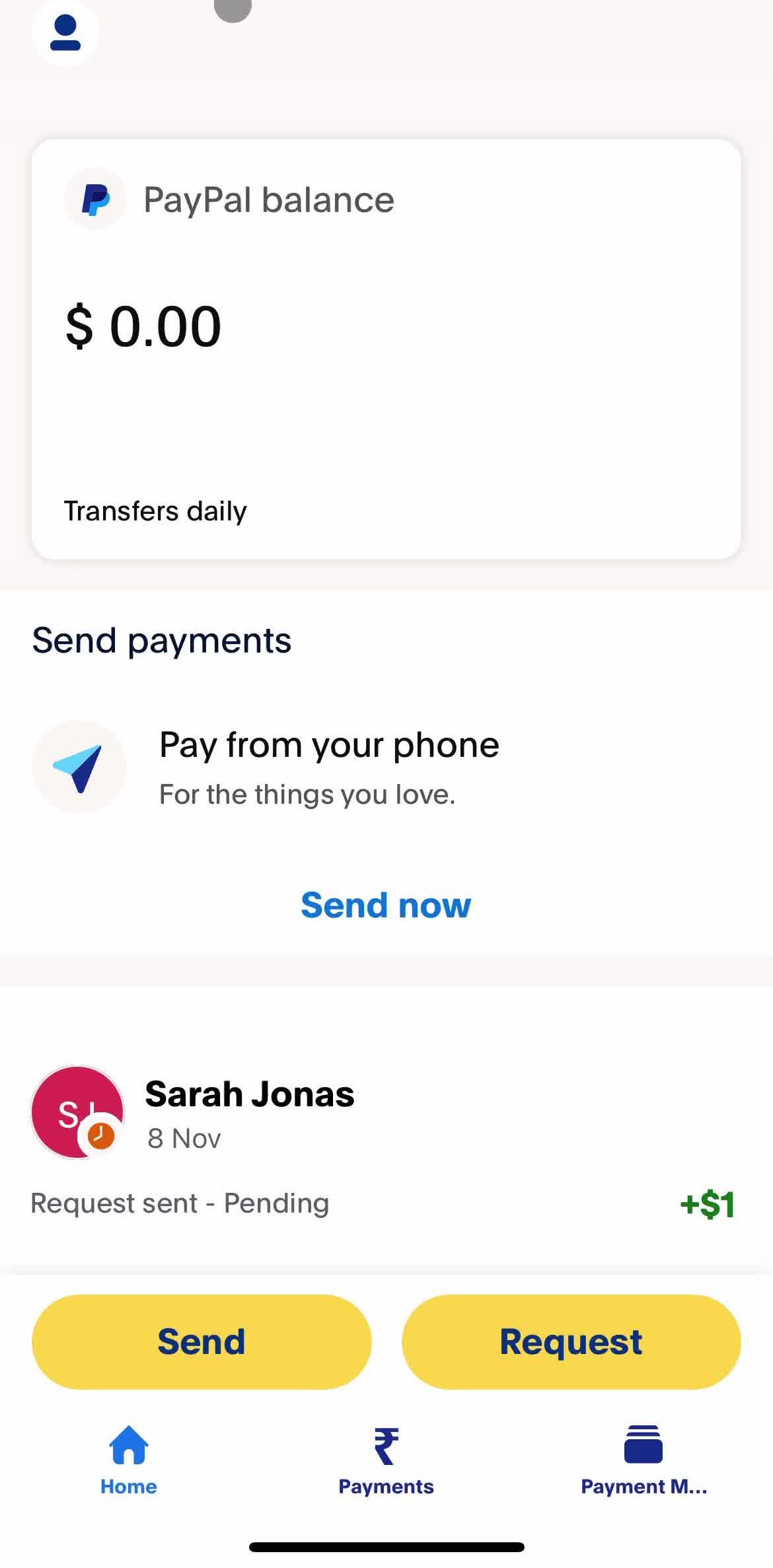 PayPal Requesting Payment preview