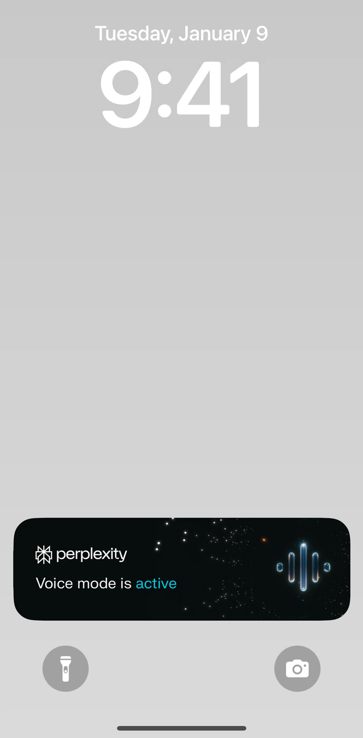 Perplexity Screen screen in the Live Activities flow