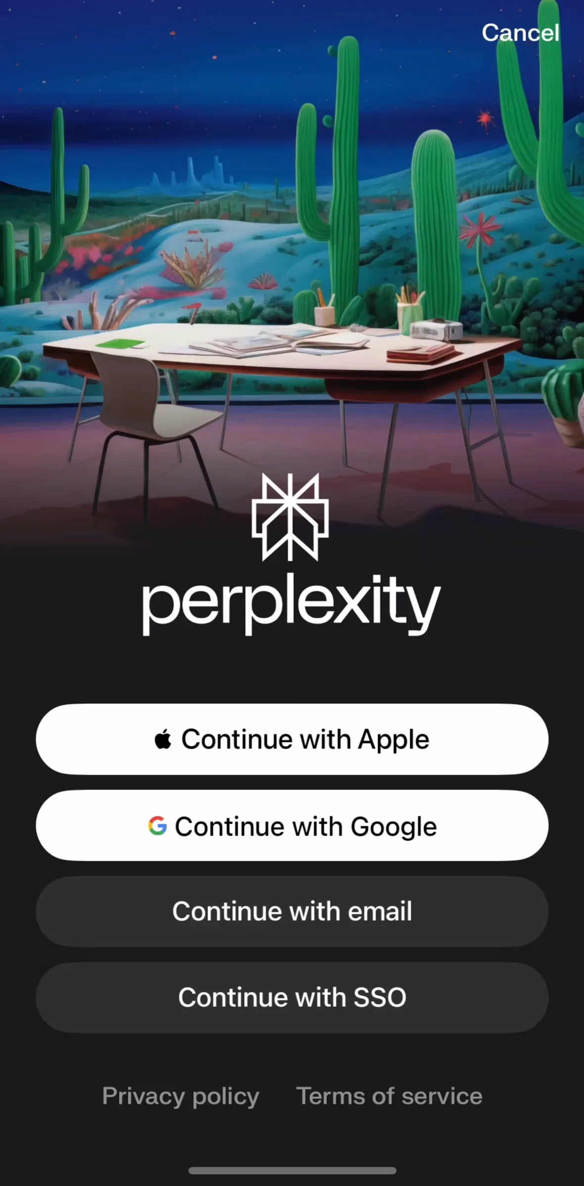 Perplexity Screen screen in the Onboarding flow