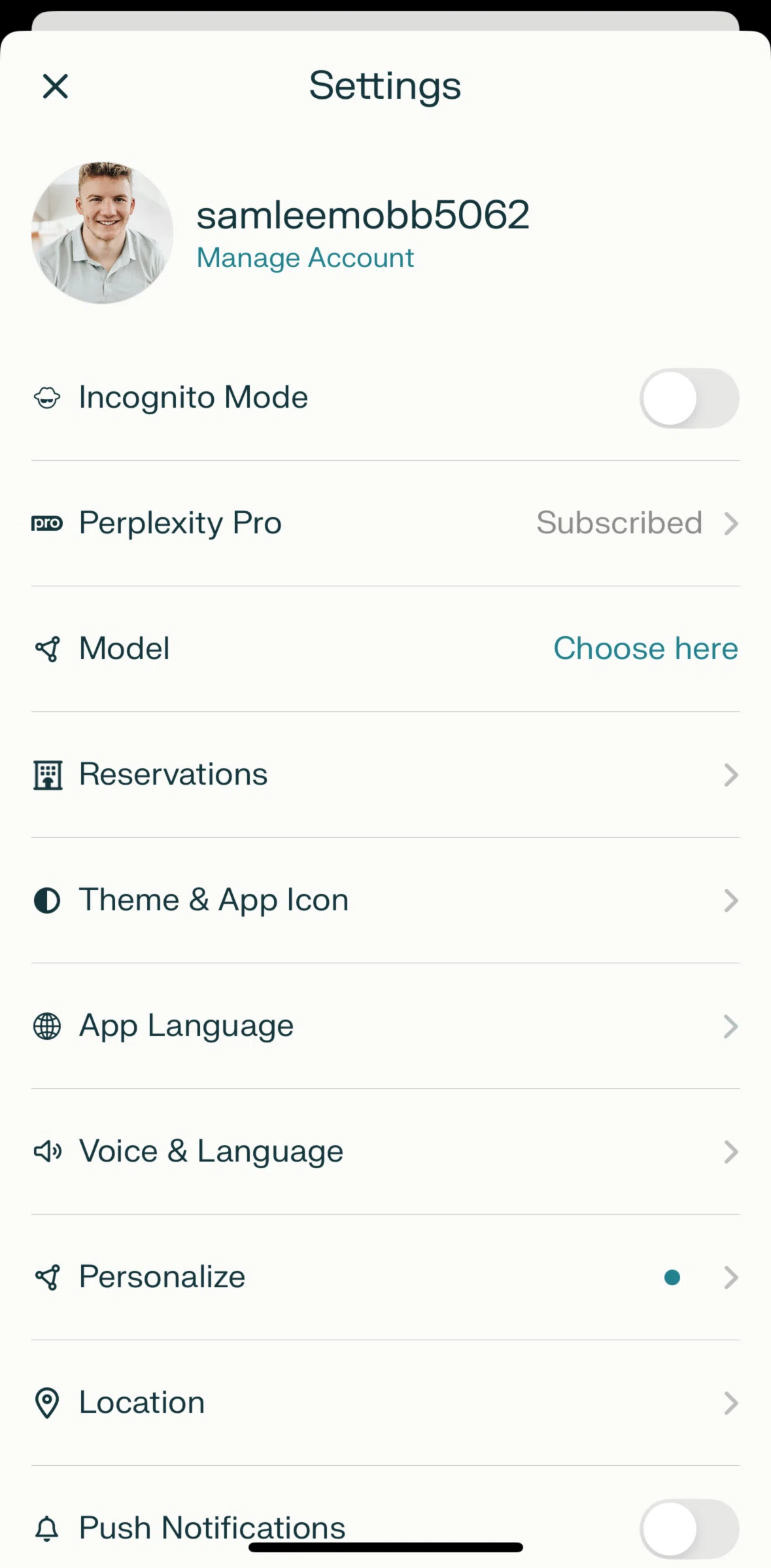 Perplexity Screen screen in the Switching to dark mode flow
