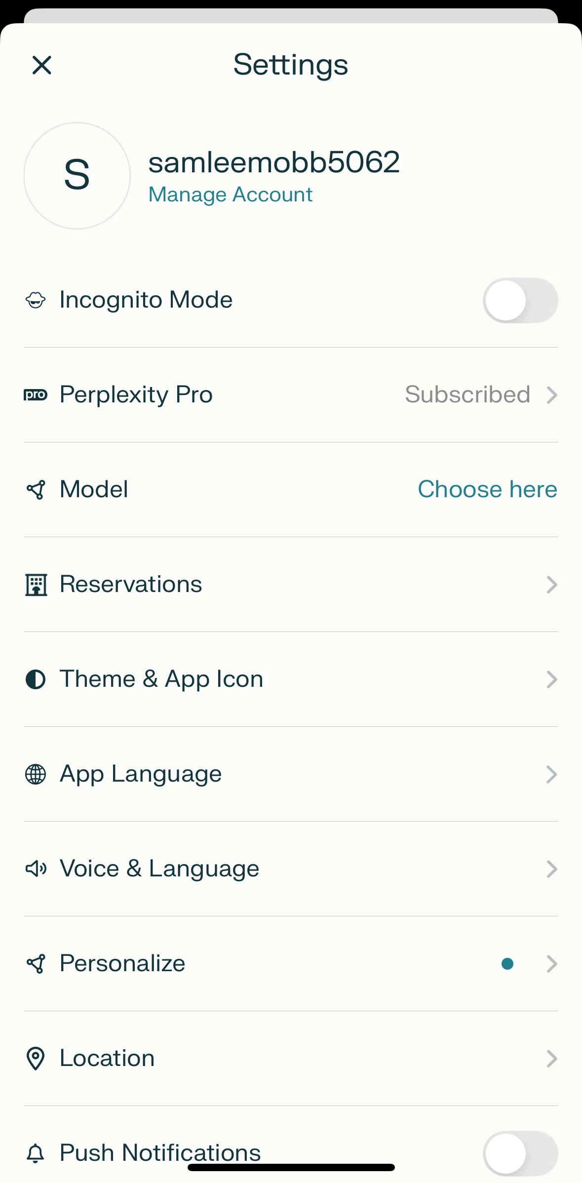 Perplexity Screen screen in the Updating profile picture flow