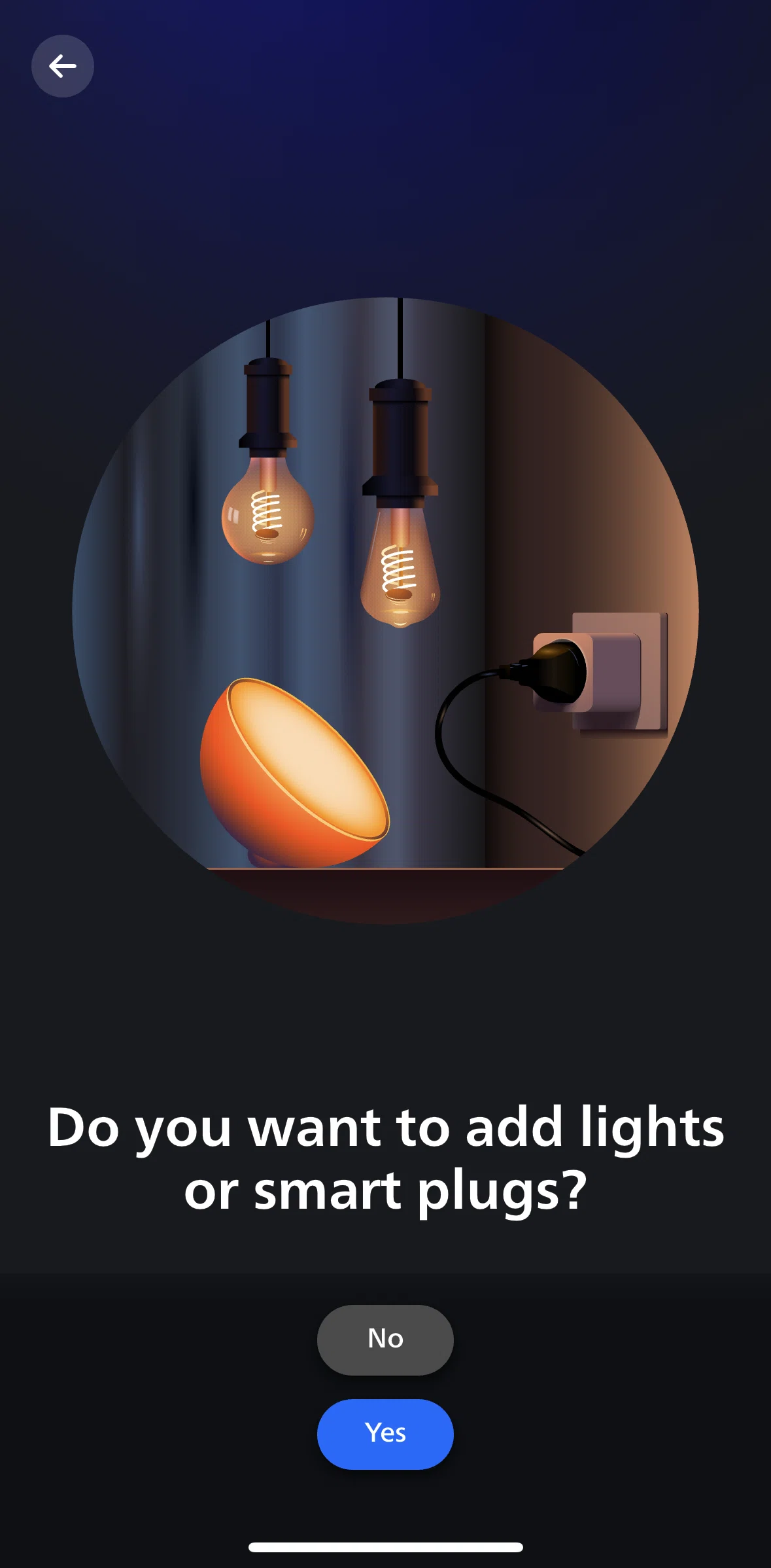 Philips Hue Screen screen in the Adding lights flow