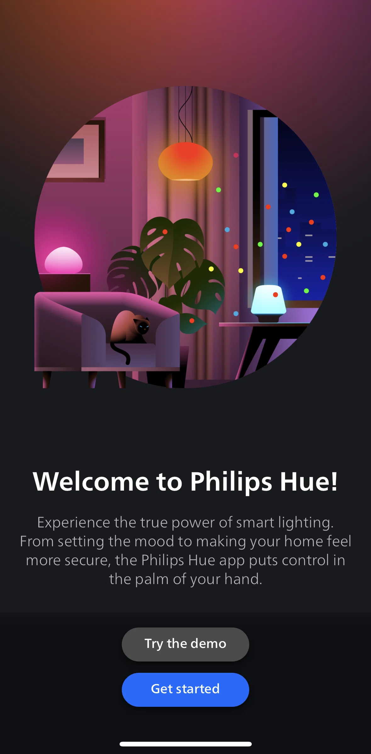 Philips Hue Screen screen in the Logging in flow