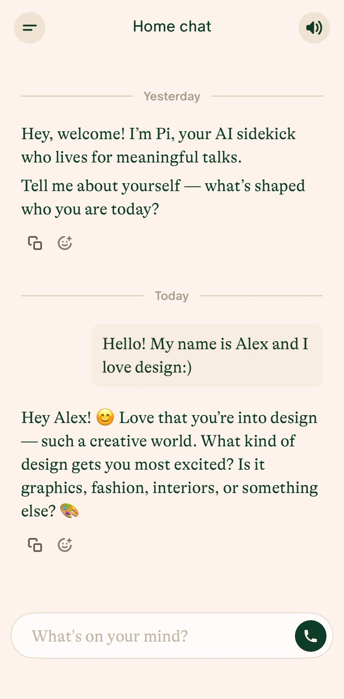 Pi Screen screen in the Chatting with AI (call) flow