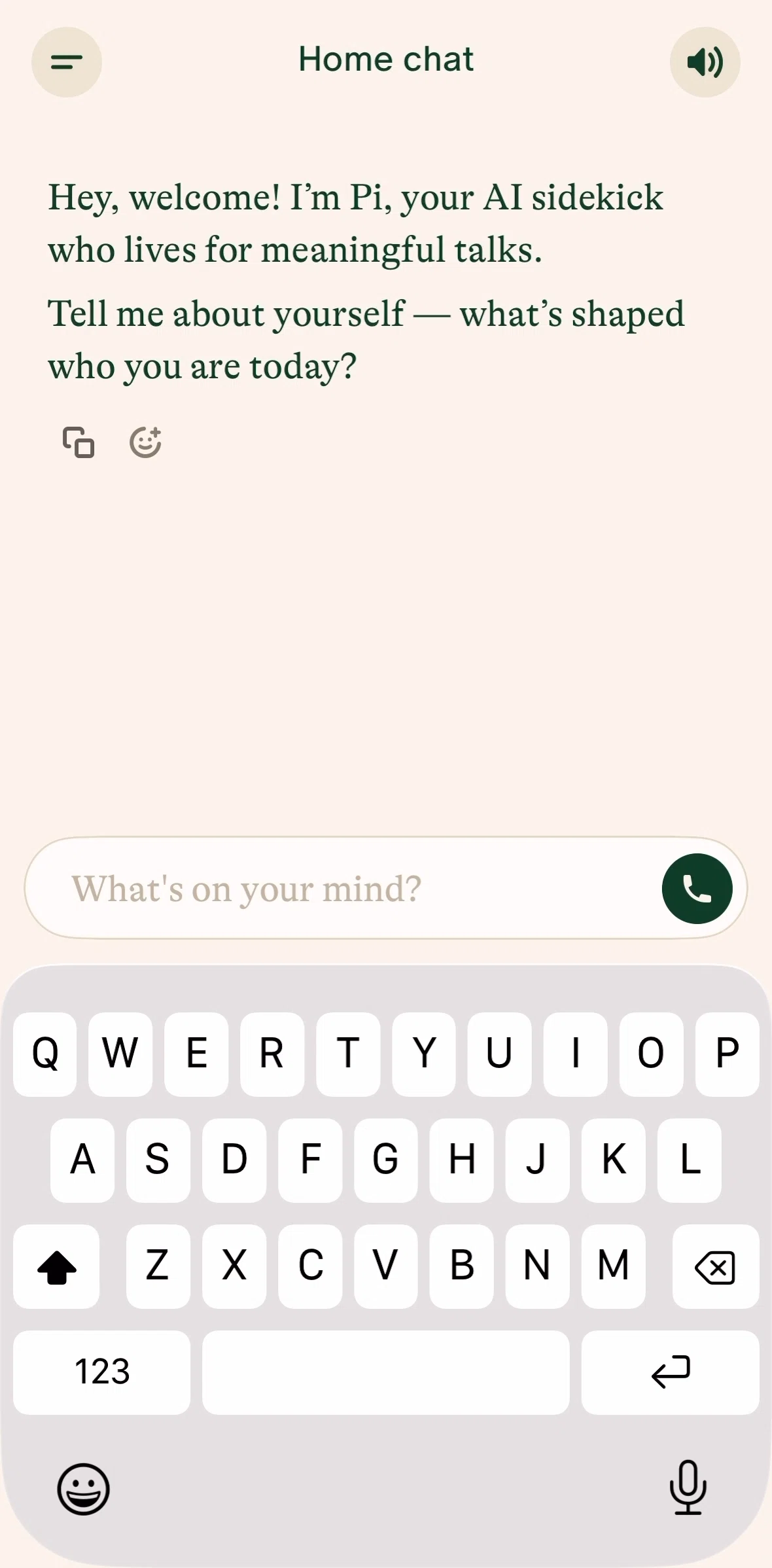 Pi Screen screen in the Home chat flow