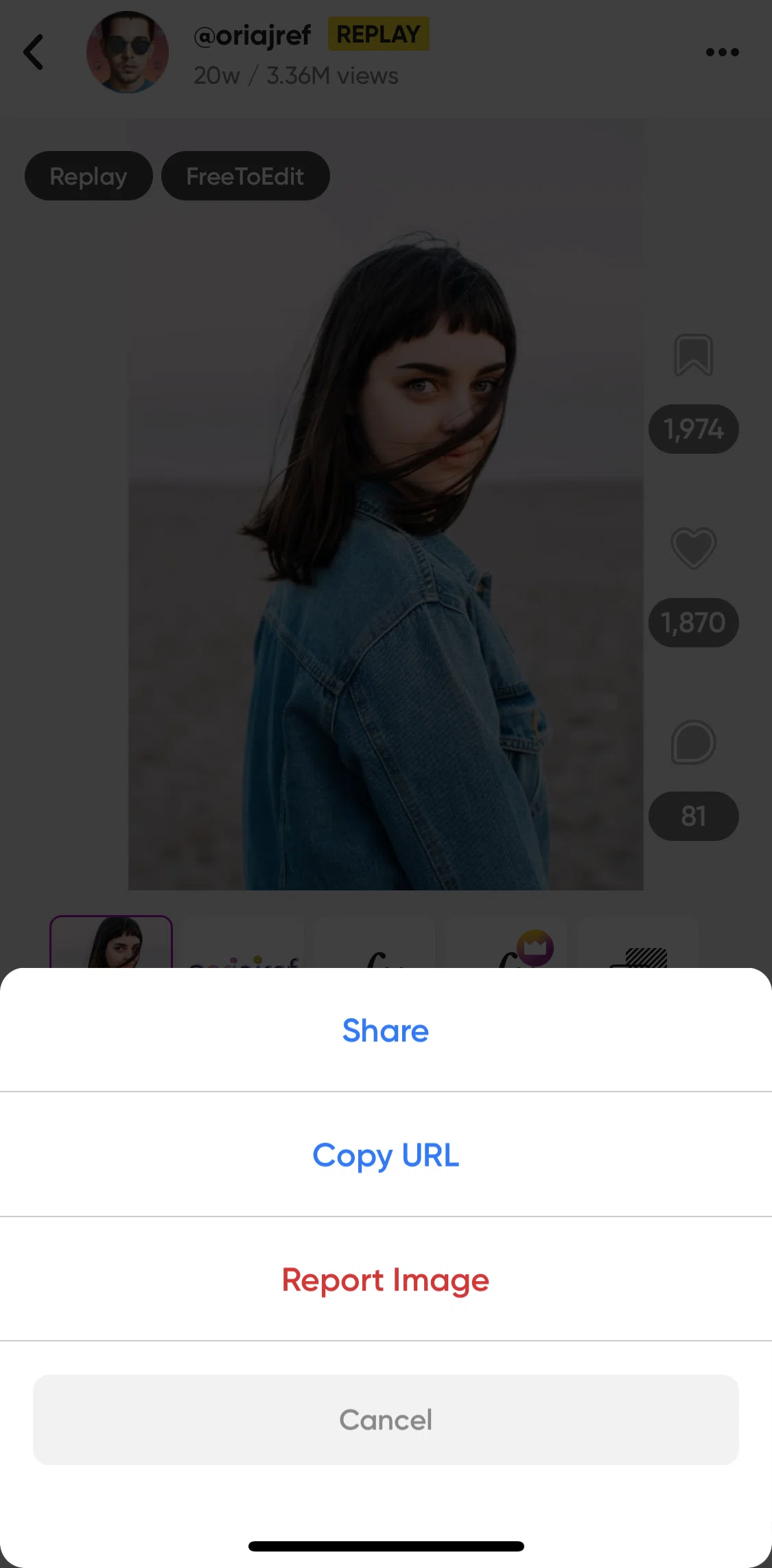 Picsart Screen screen in the Reporting a post flow