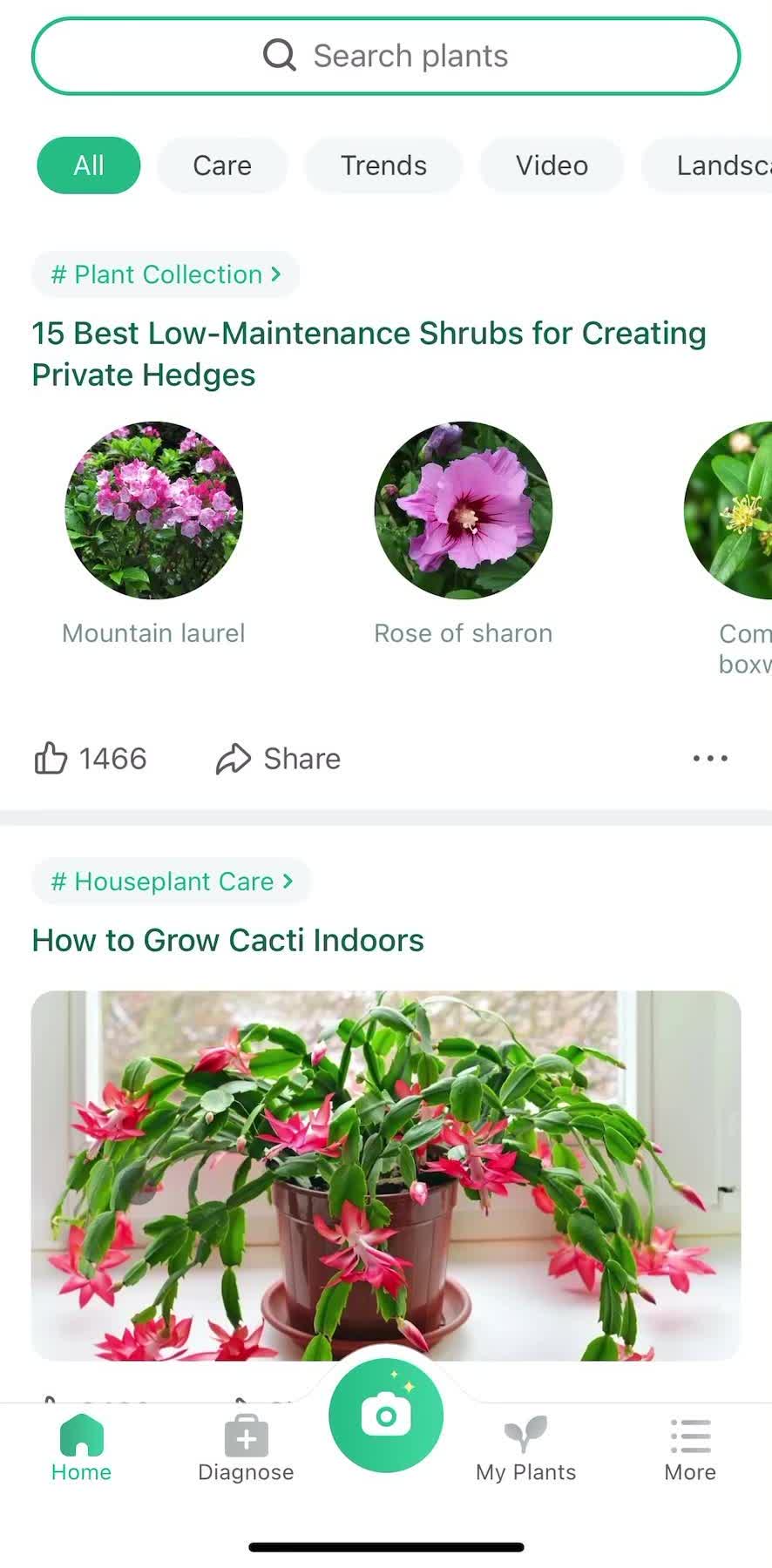 Picture This Home screen in the Discovering Content flow